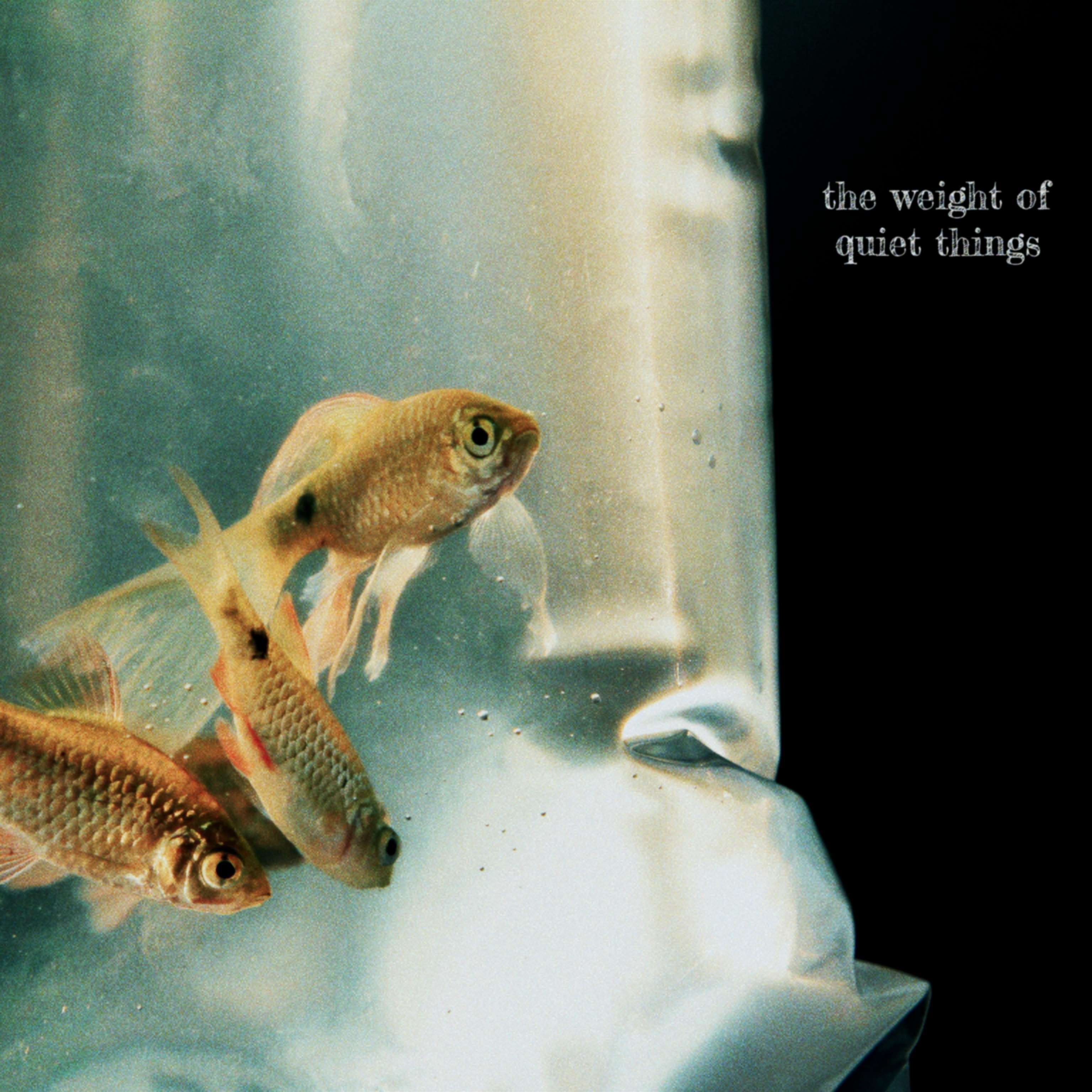 Joobilee The Weight of Quiet Things image