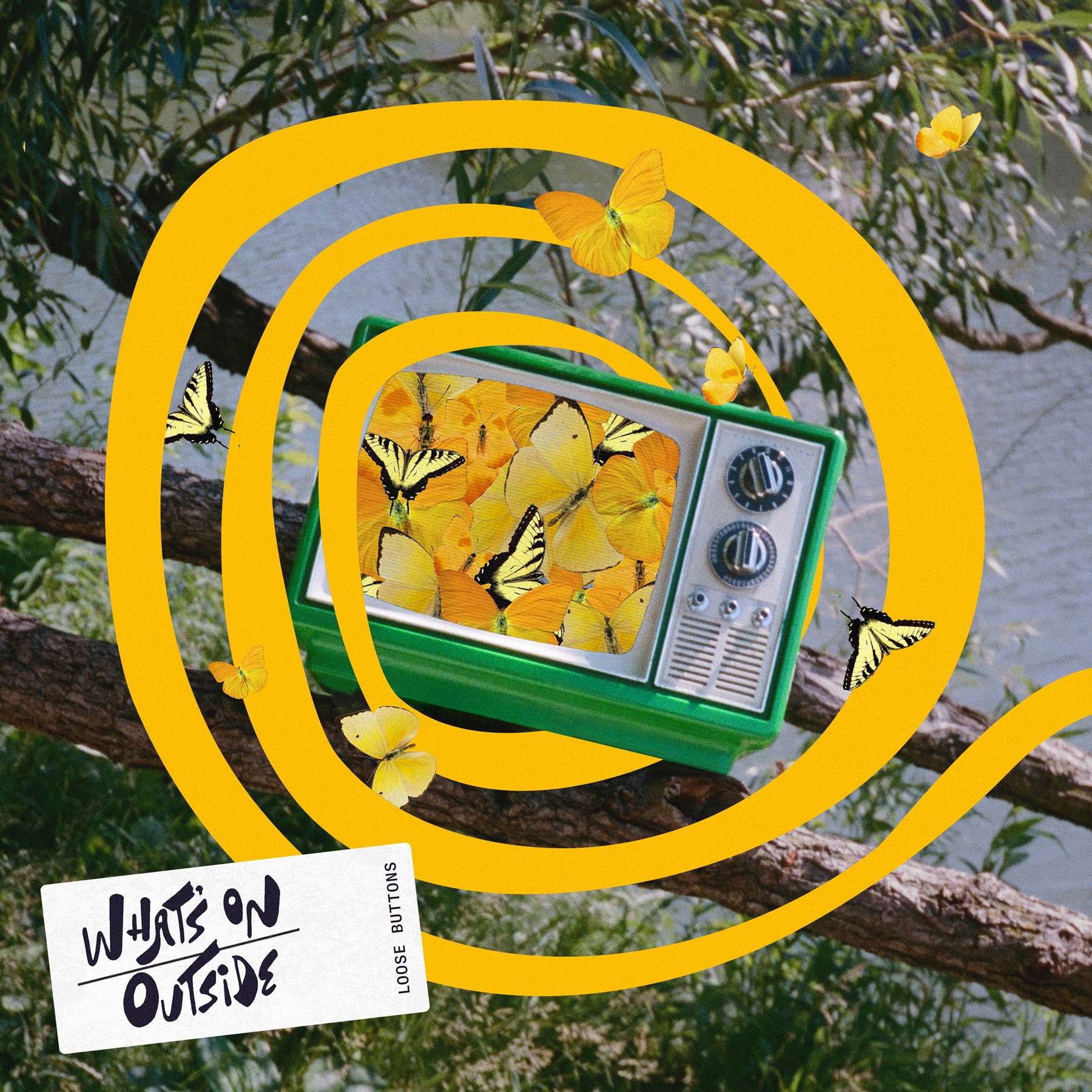 Loose Buttons - What's On Outside: a yellow tv sitting on a branch with butterflies on it