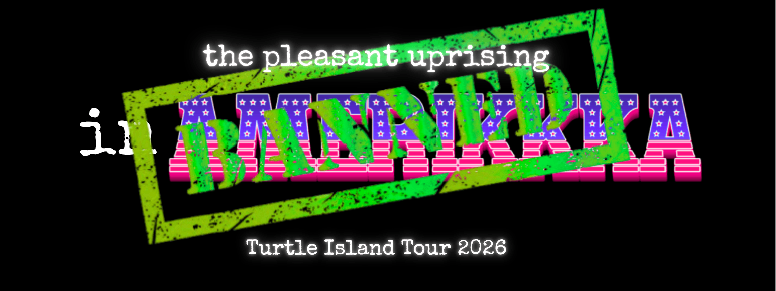 the placid wishing turtle island tour 2008