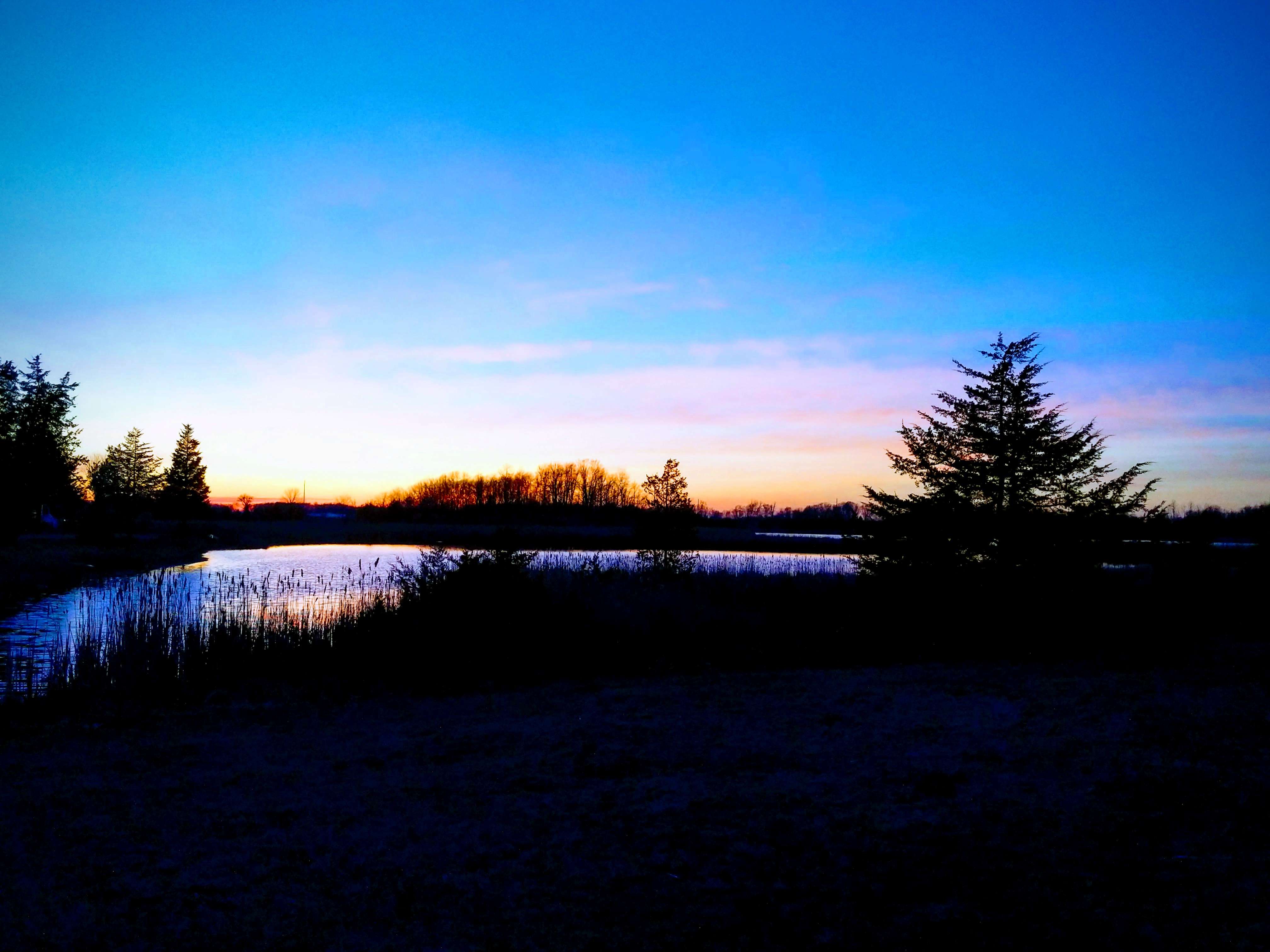 Alabama Mike tip jar: sunset over a pond with trees in the background