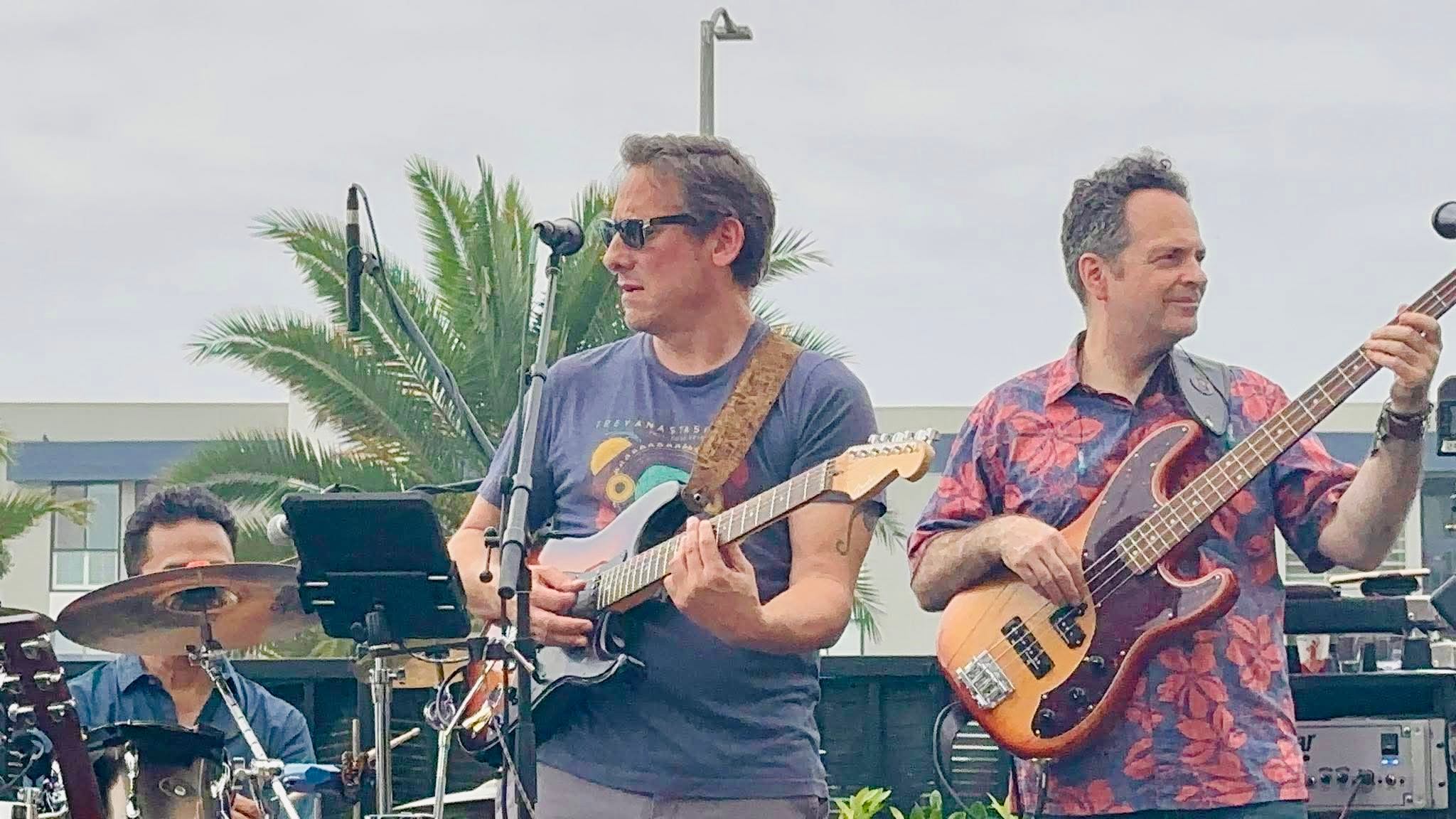 a group of men playing guitars in front of a palm tree