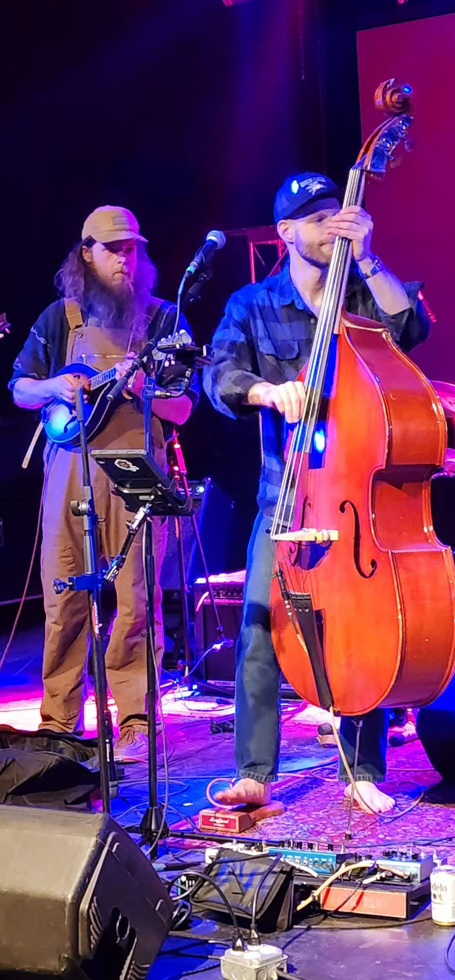 a group of musicians playing a musical instrument on stage