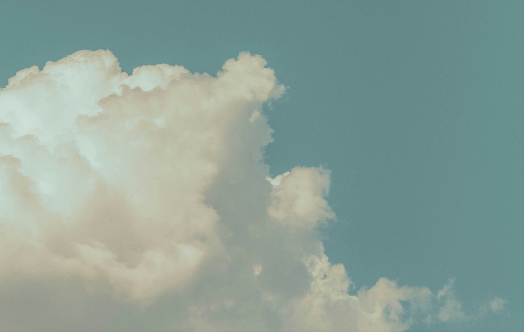 a kite flying in the sky