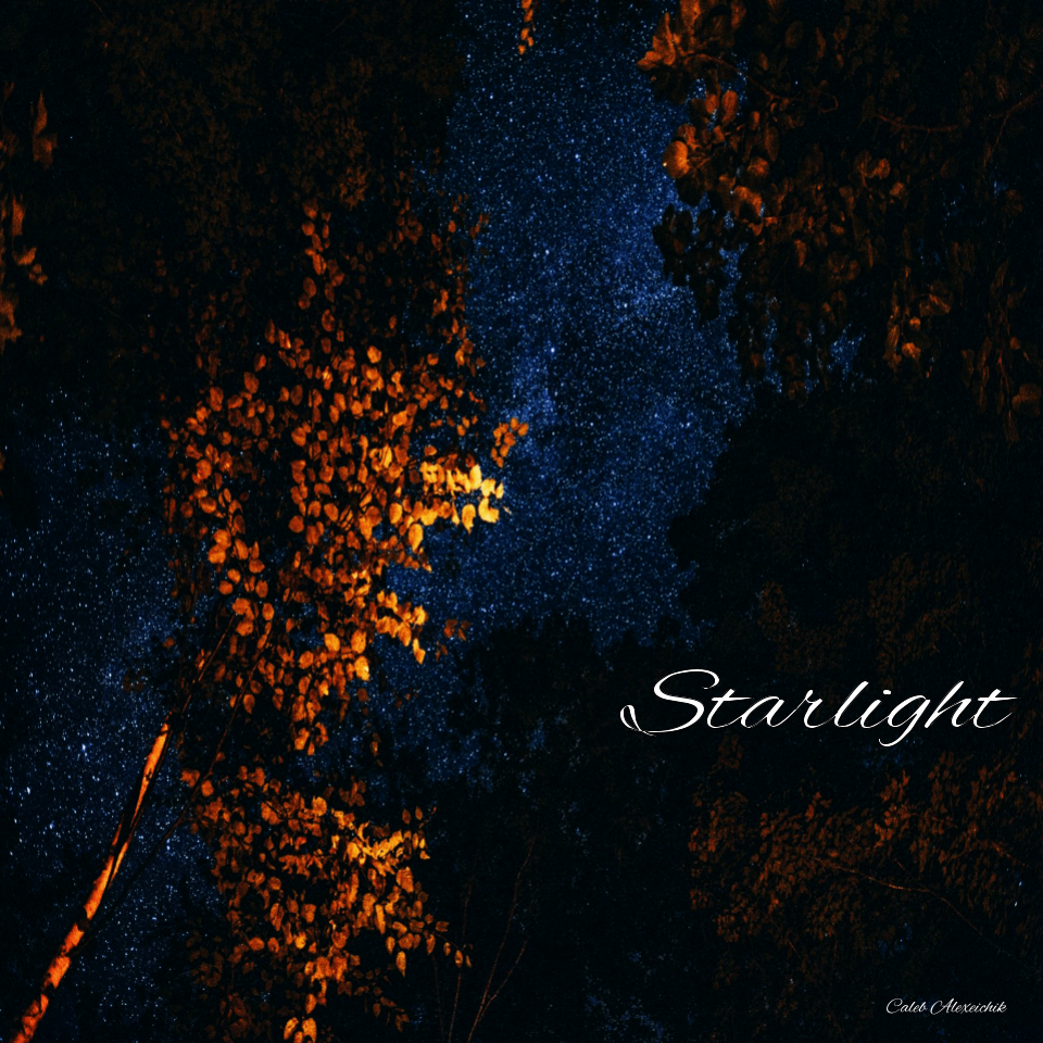 an image of a tree with the words starlight written on it