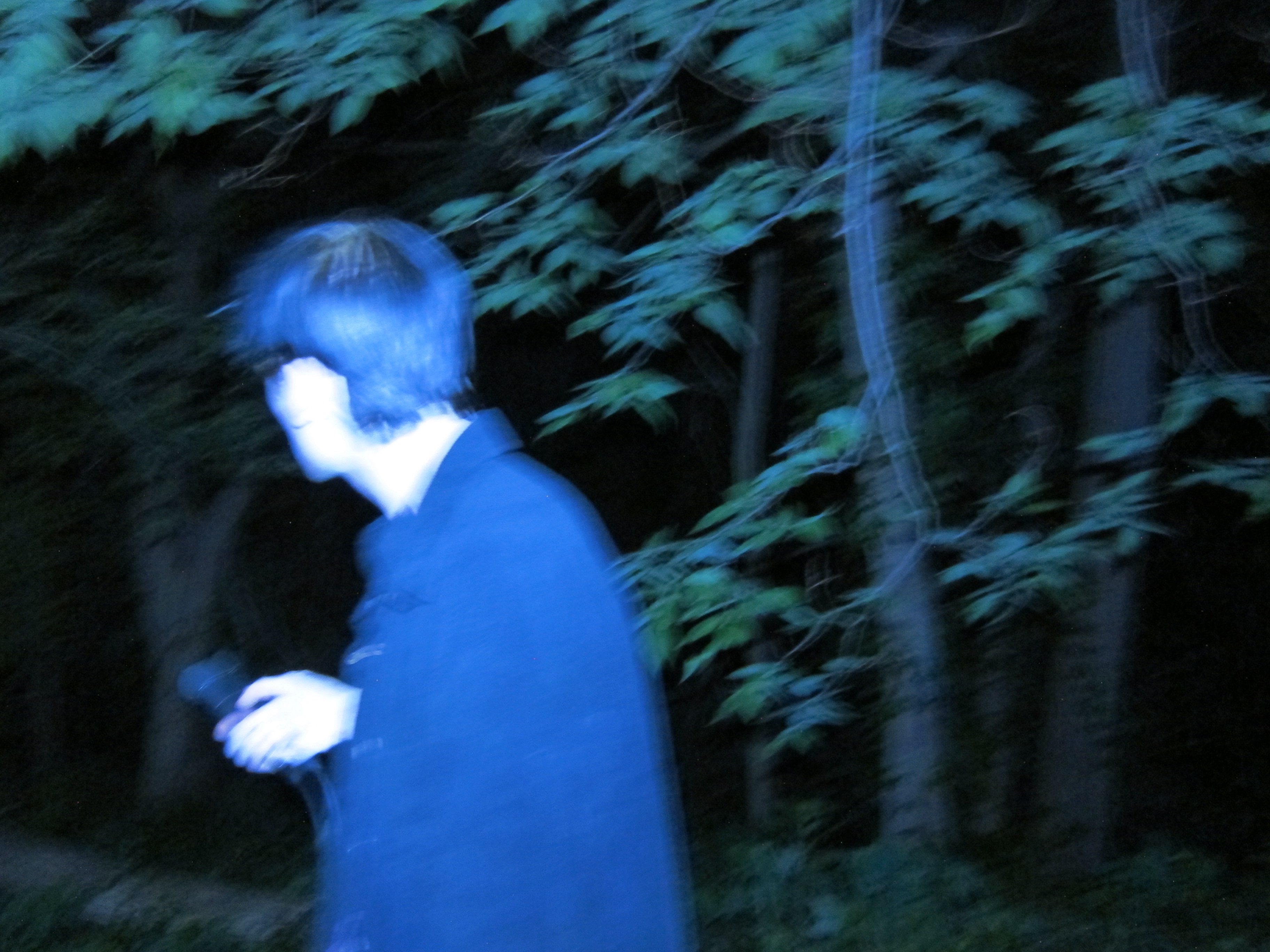 a person walking through a wooded area at night