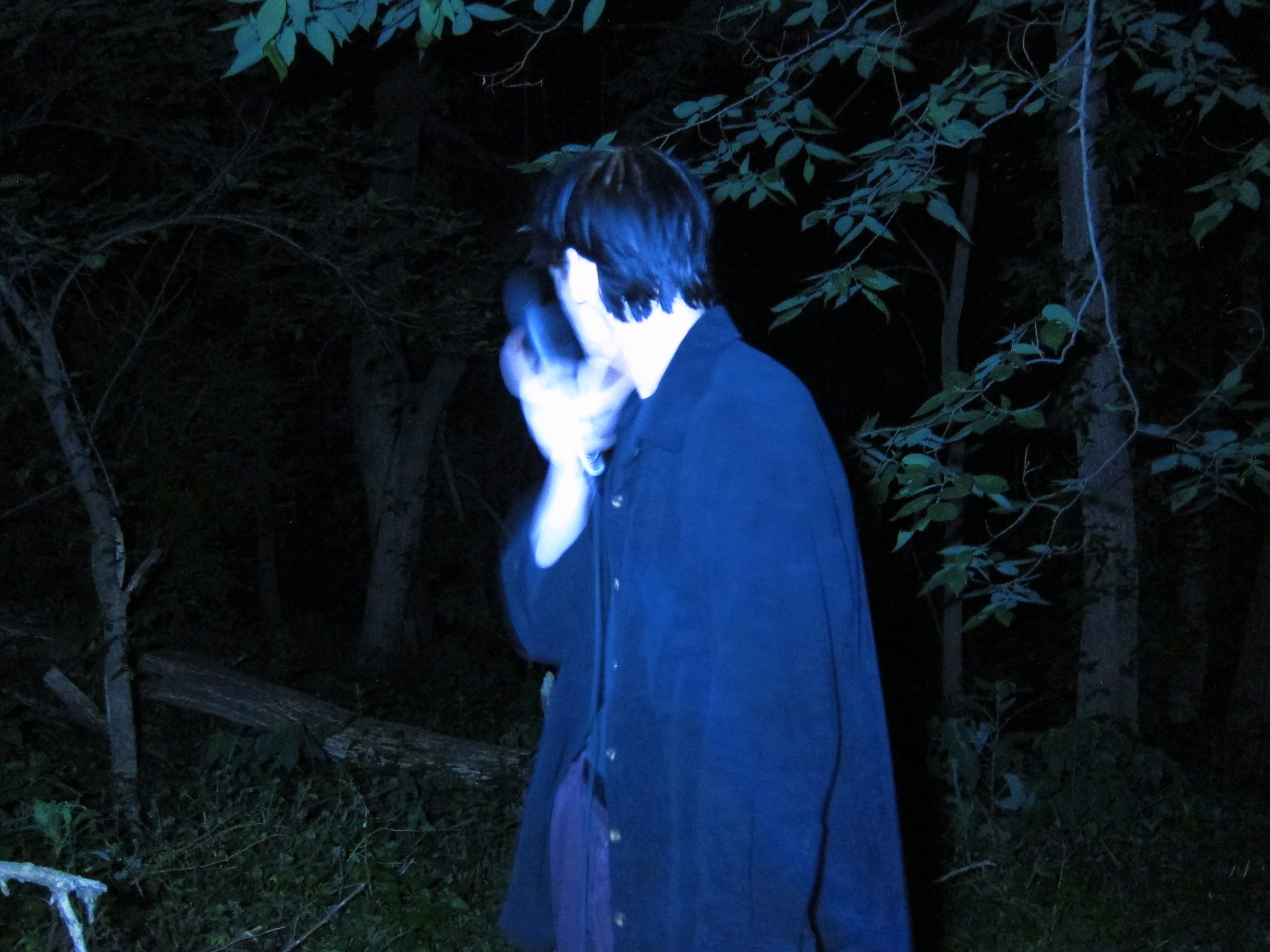 a person standing in the woods at night