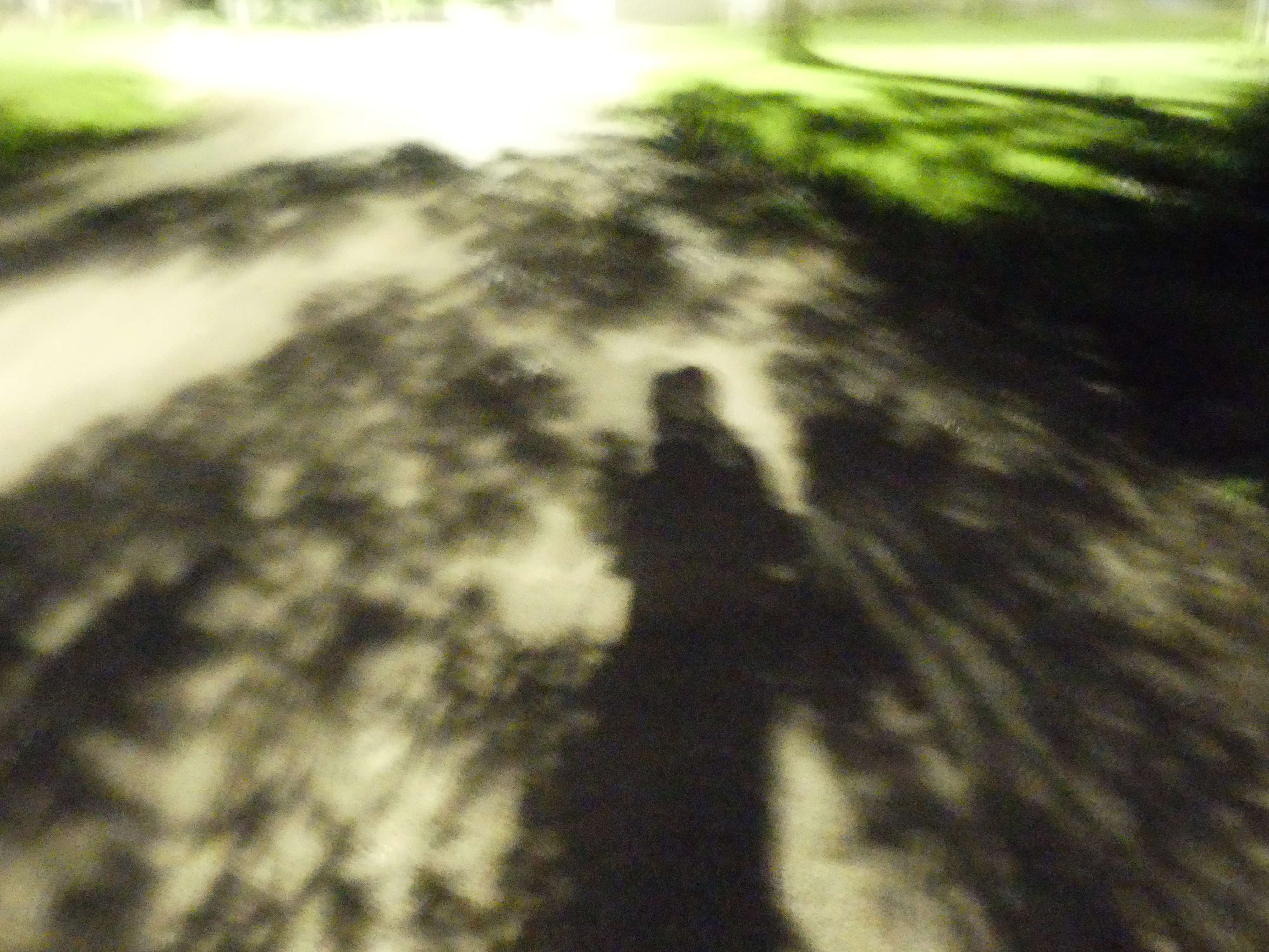 a shadow of a person walking down a road at night