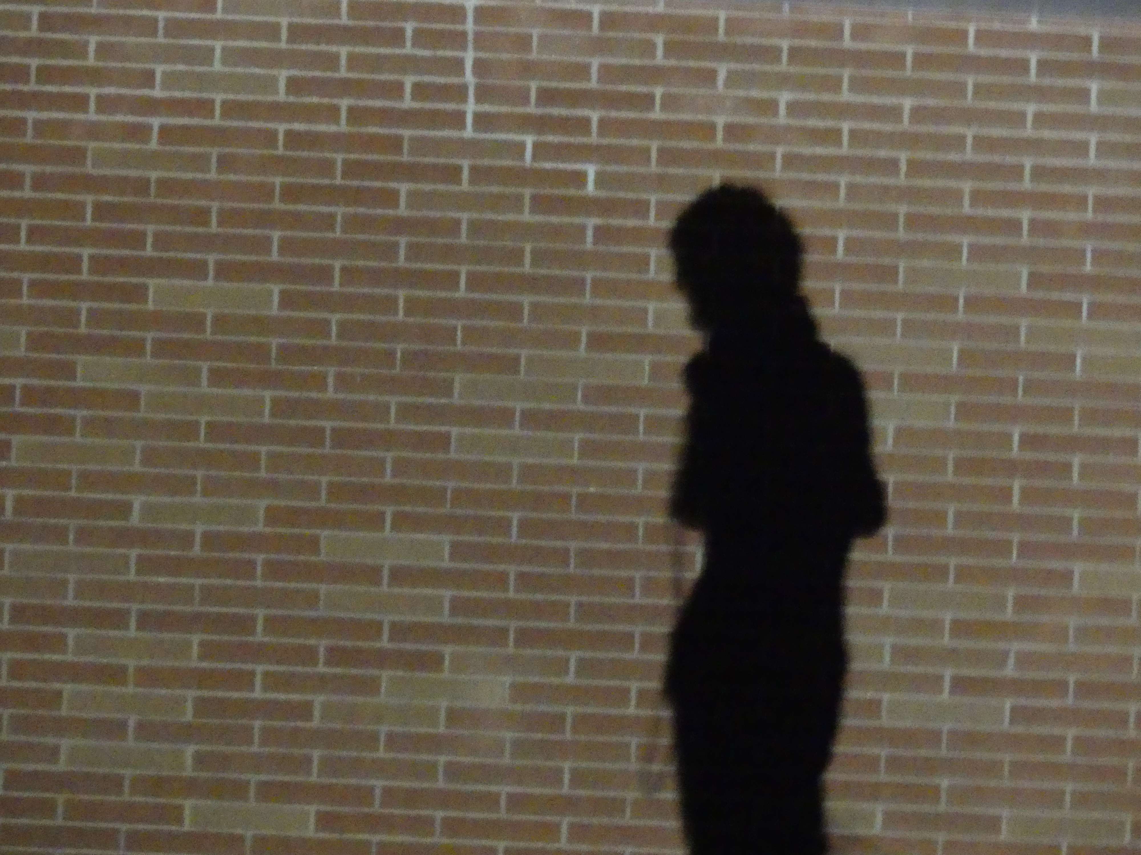 the shadow of a person standing in front of a brick wall