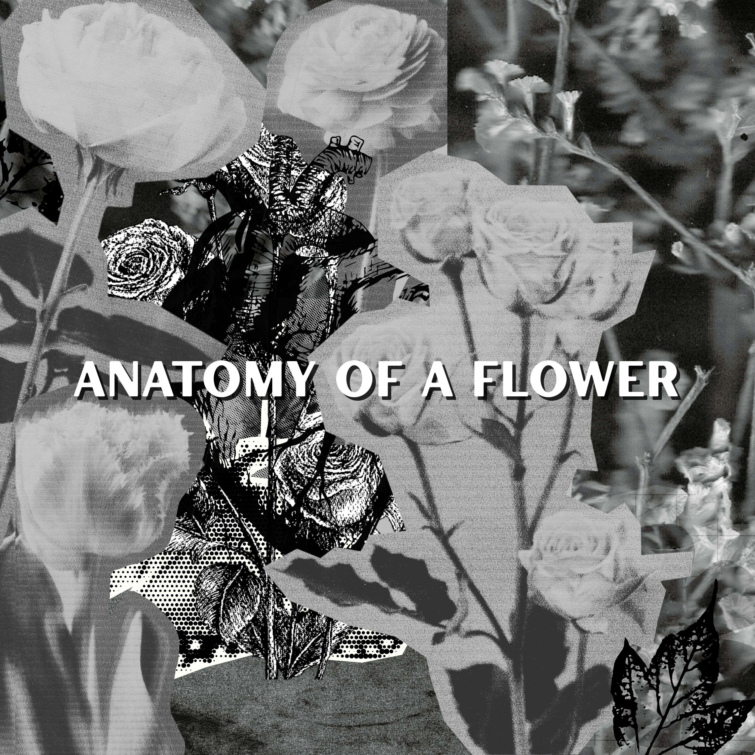 RenRiot - Anatomy of a Flower: anatomy of a flower