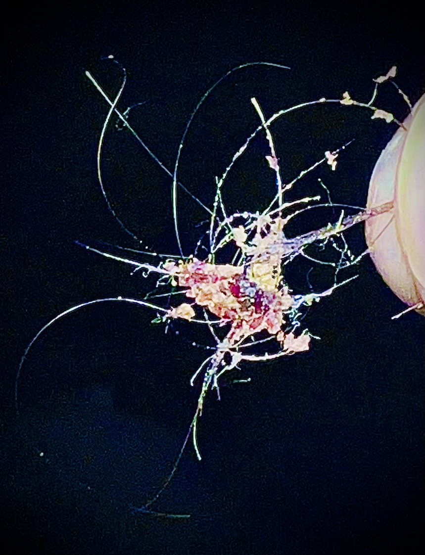 a person is holding a piece of paper