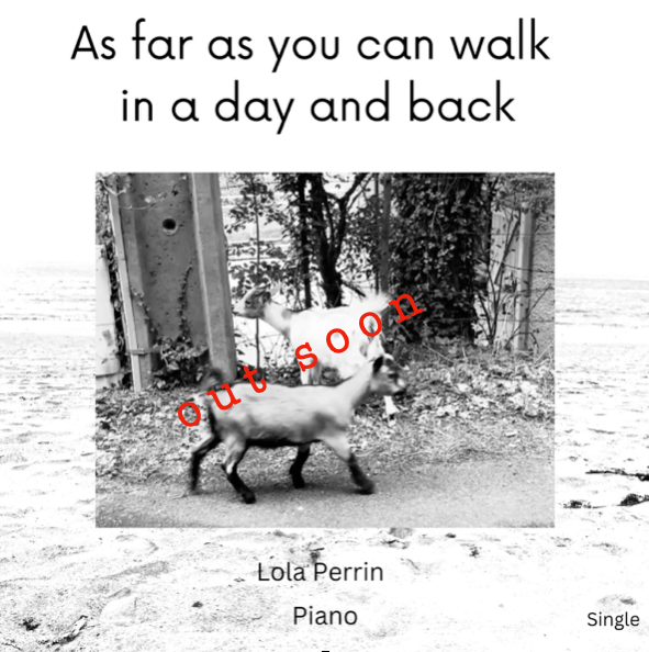 as far as you can walk in a day and back