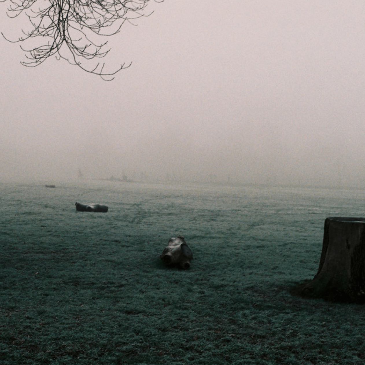 Lola Perrin - Music from Fragile Light Spaces 1 (re-release): a person is sitting in a park with a tree in the background