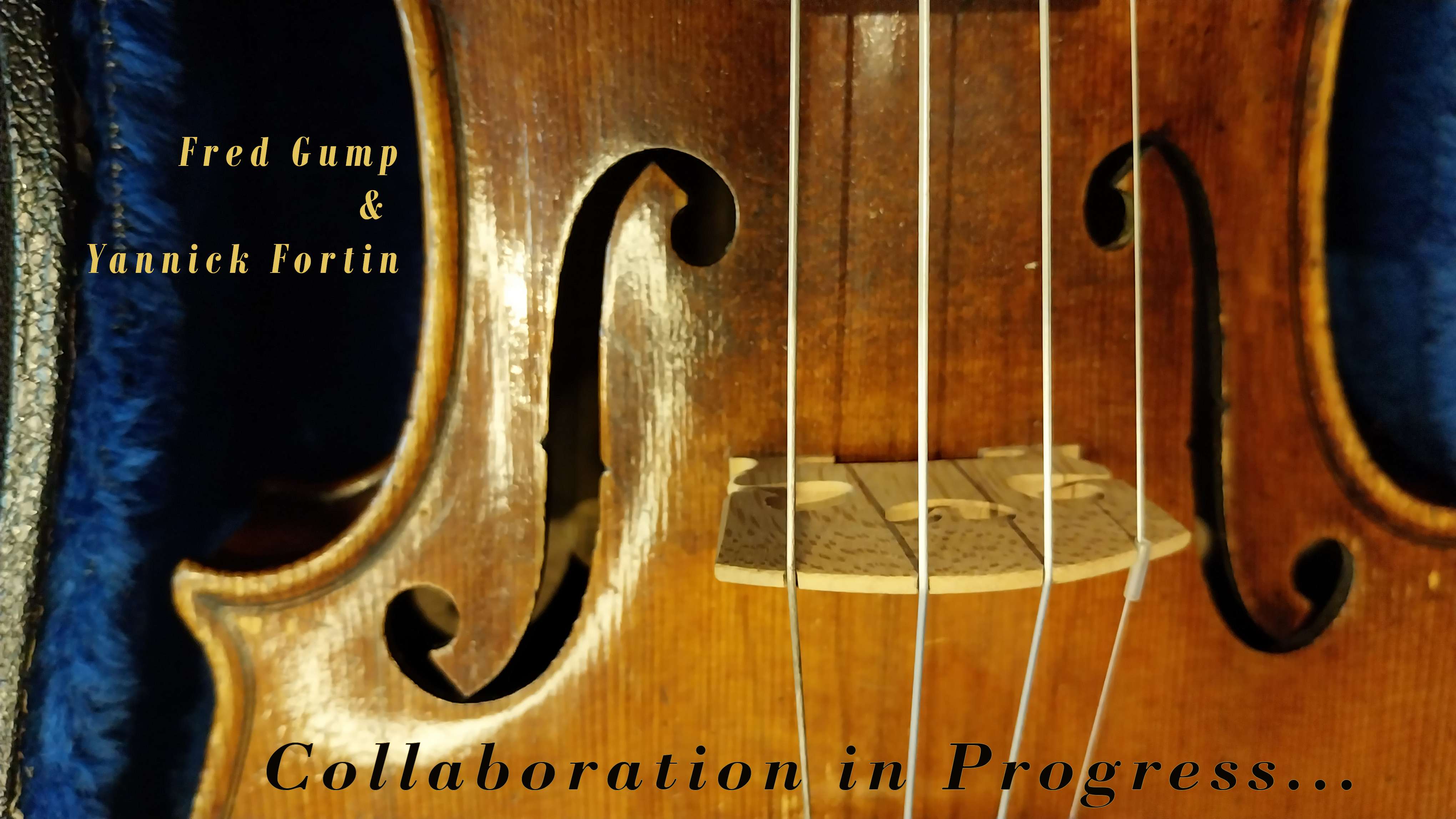 Do you know Fred Gump?: a violin with the words collaboration in progress