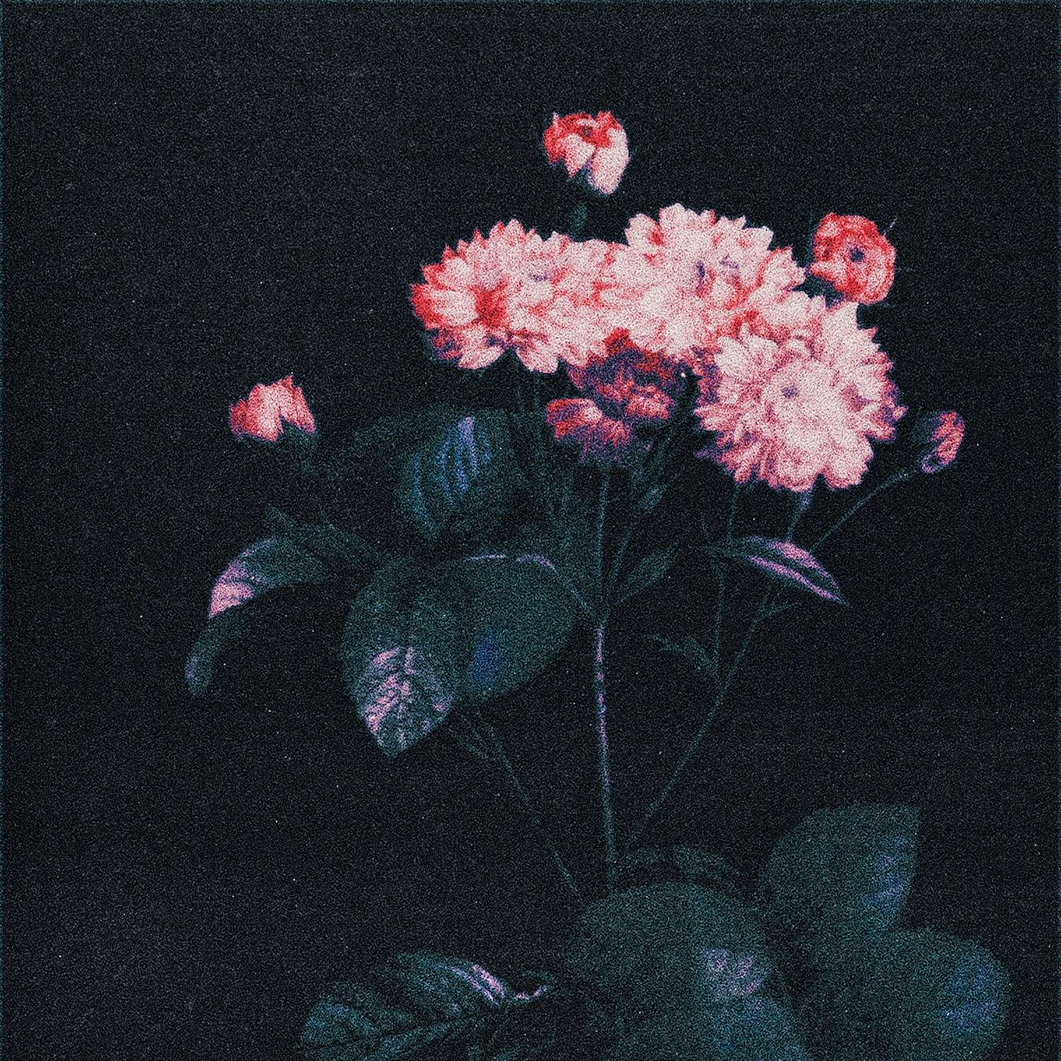 a black and white photo of flowers in a vase