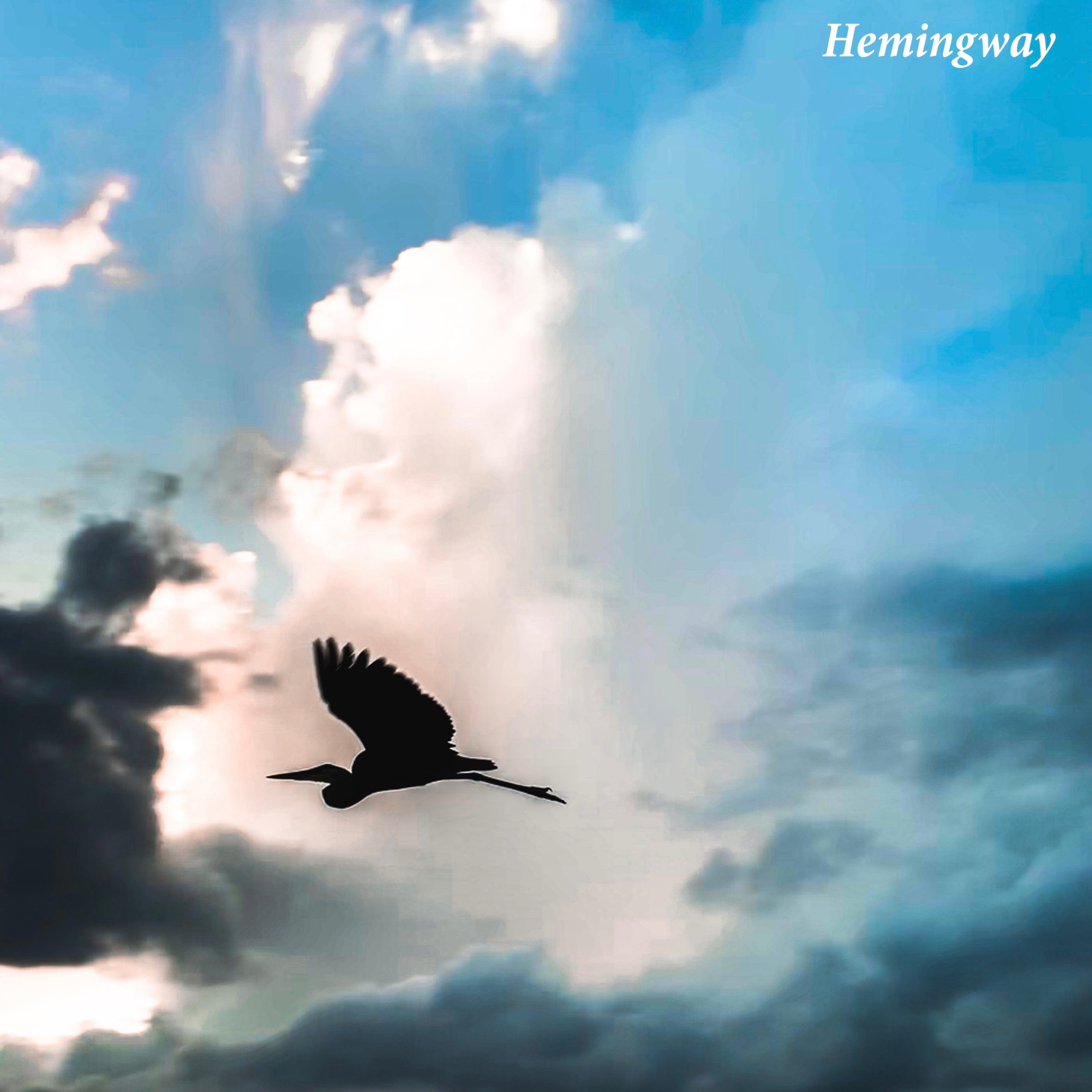 an image of a bird flying through a cloudy sky