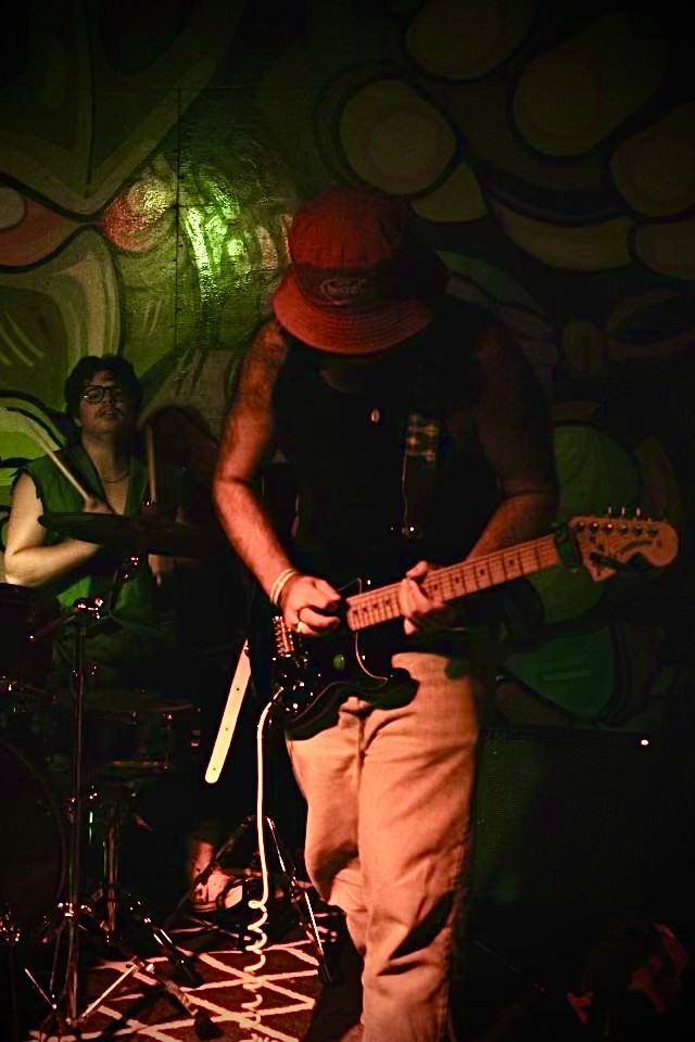 image may contain person, on stage, playing a musical instrument and night