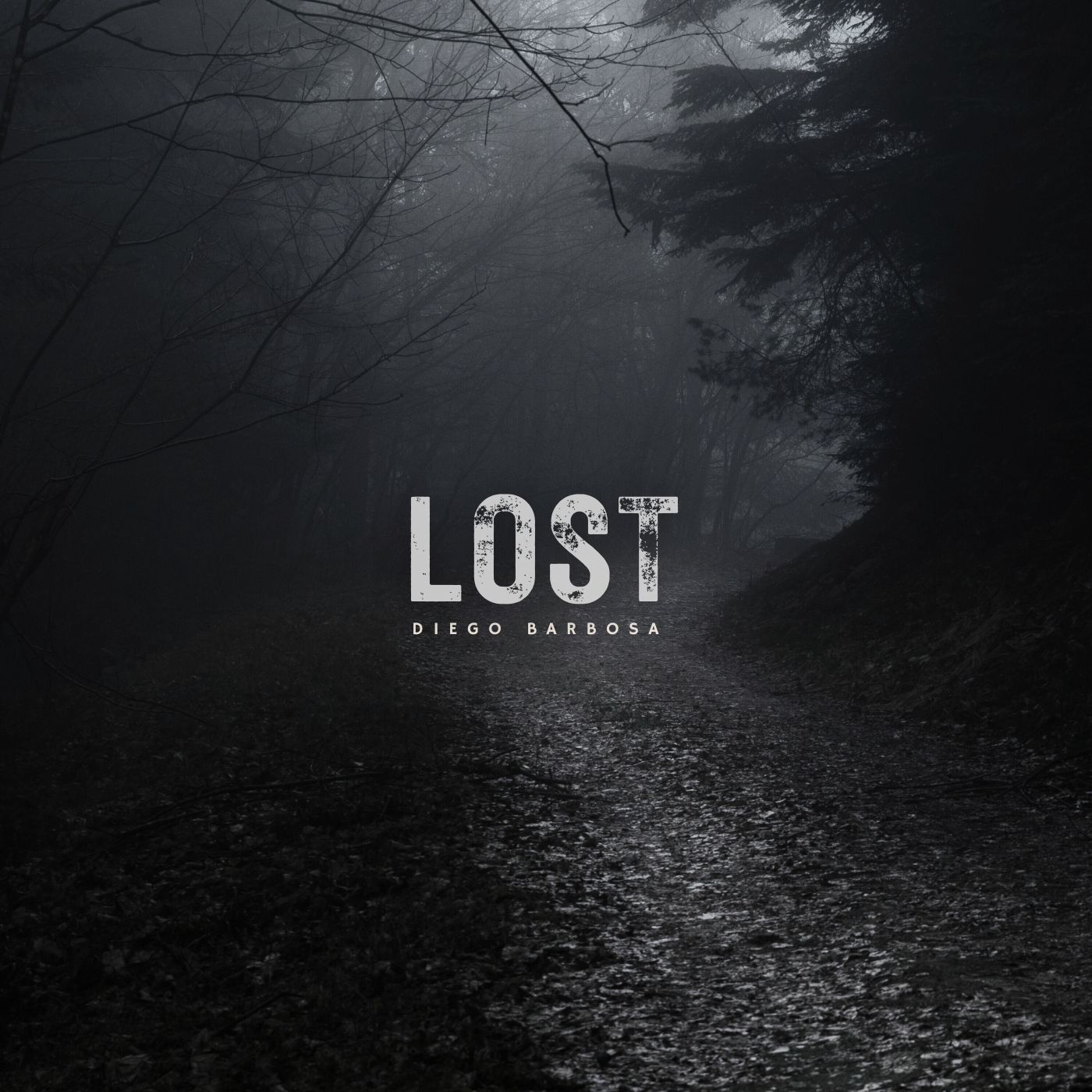 the word lost in a dark forest
