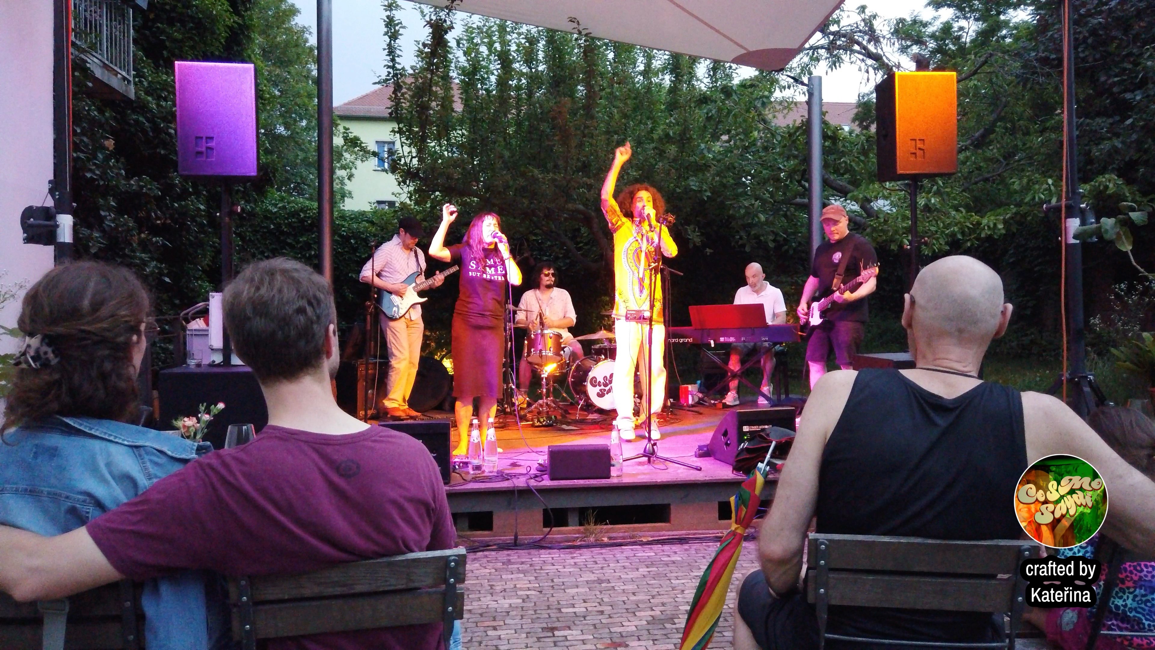 a group of people watching a band perform in a garden