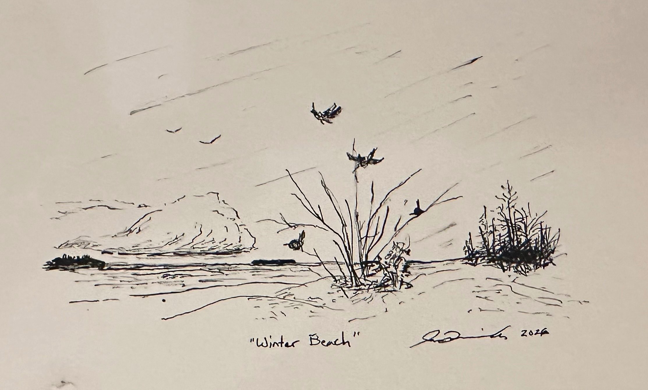 a drawing of a beach with birds and grass