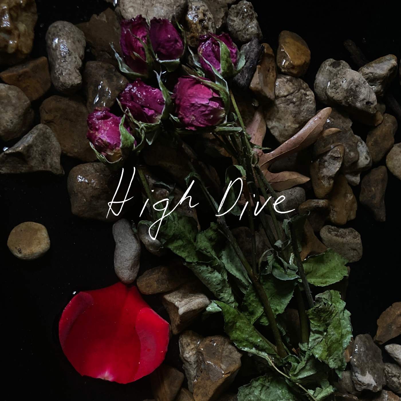 Josh Hughes - High Dive: a red rose with the words high dive on it