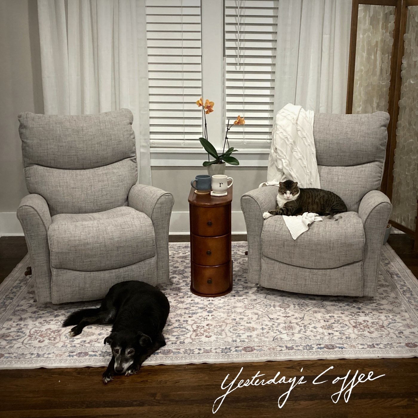 Josh Hughes - New release -   Yesterday's Coffee: a dog and cat laying on a rug in a living room
