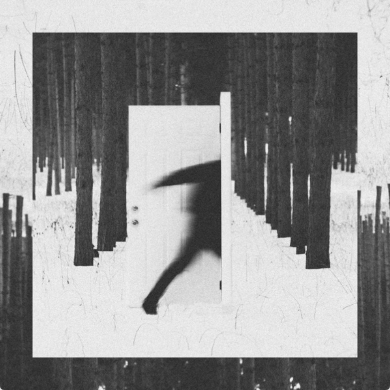 a black and white photo of a person walking through a forest