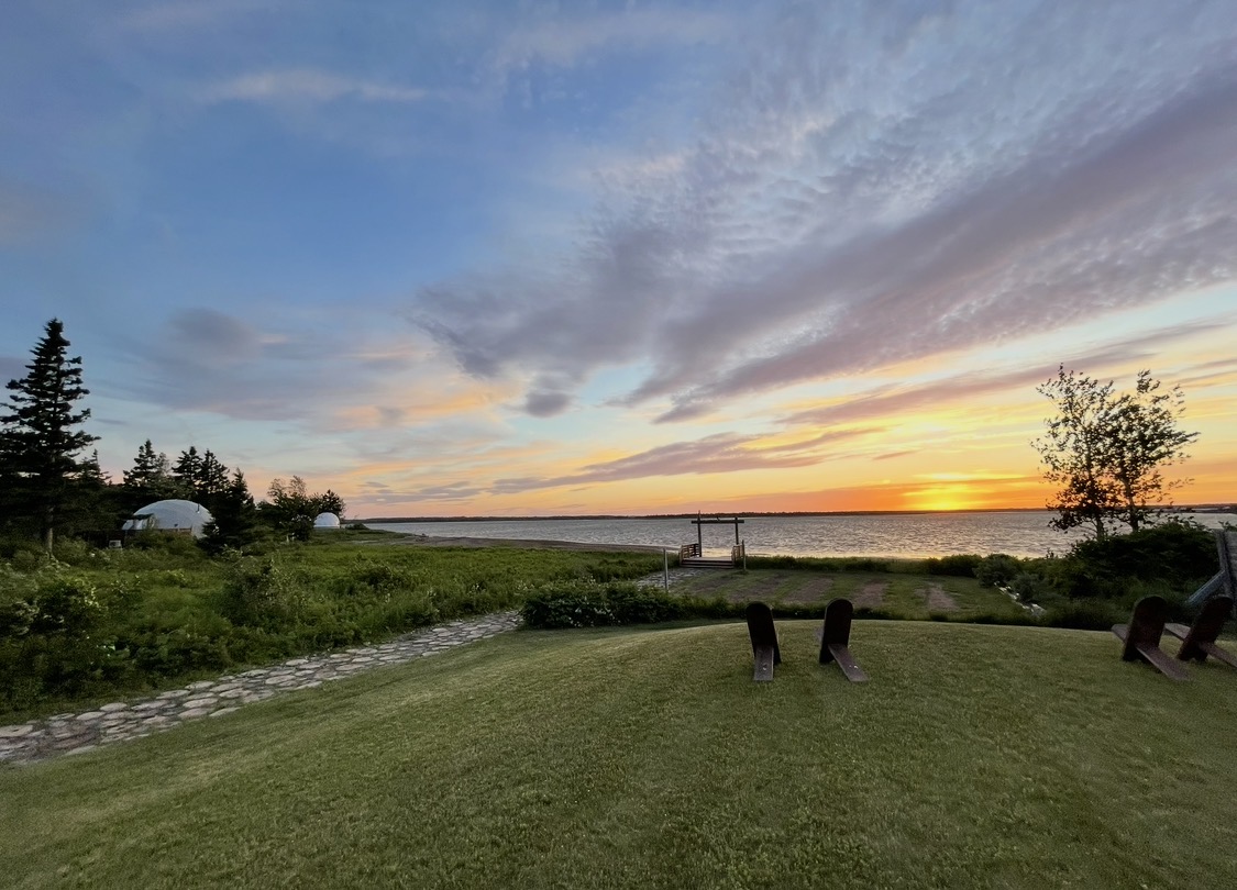a fish eye view of a grassy area with a sunset in the background