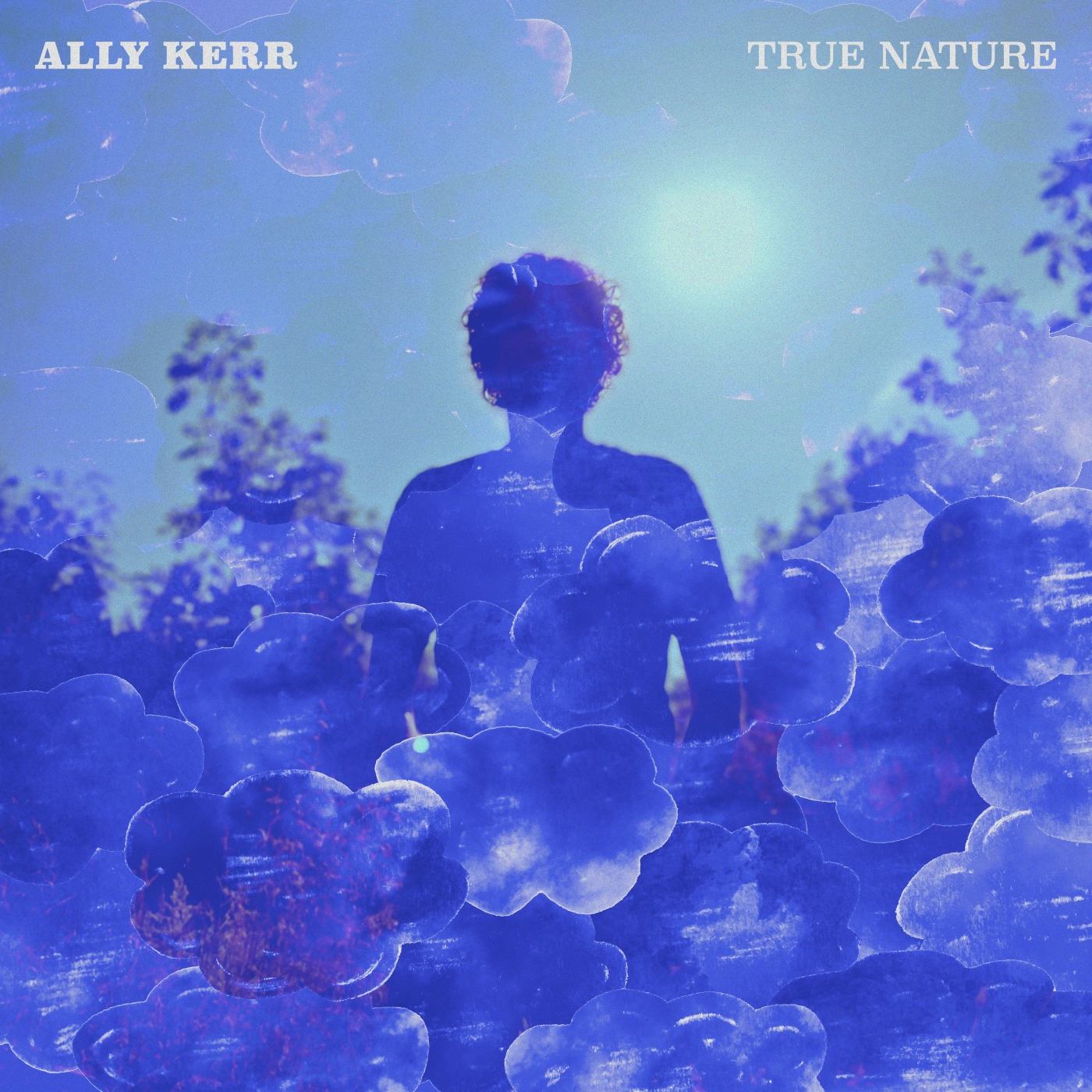 true nature by ally kerr