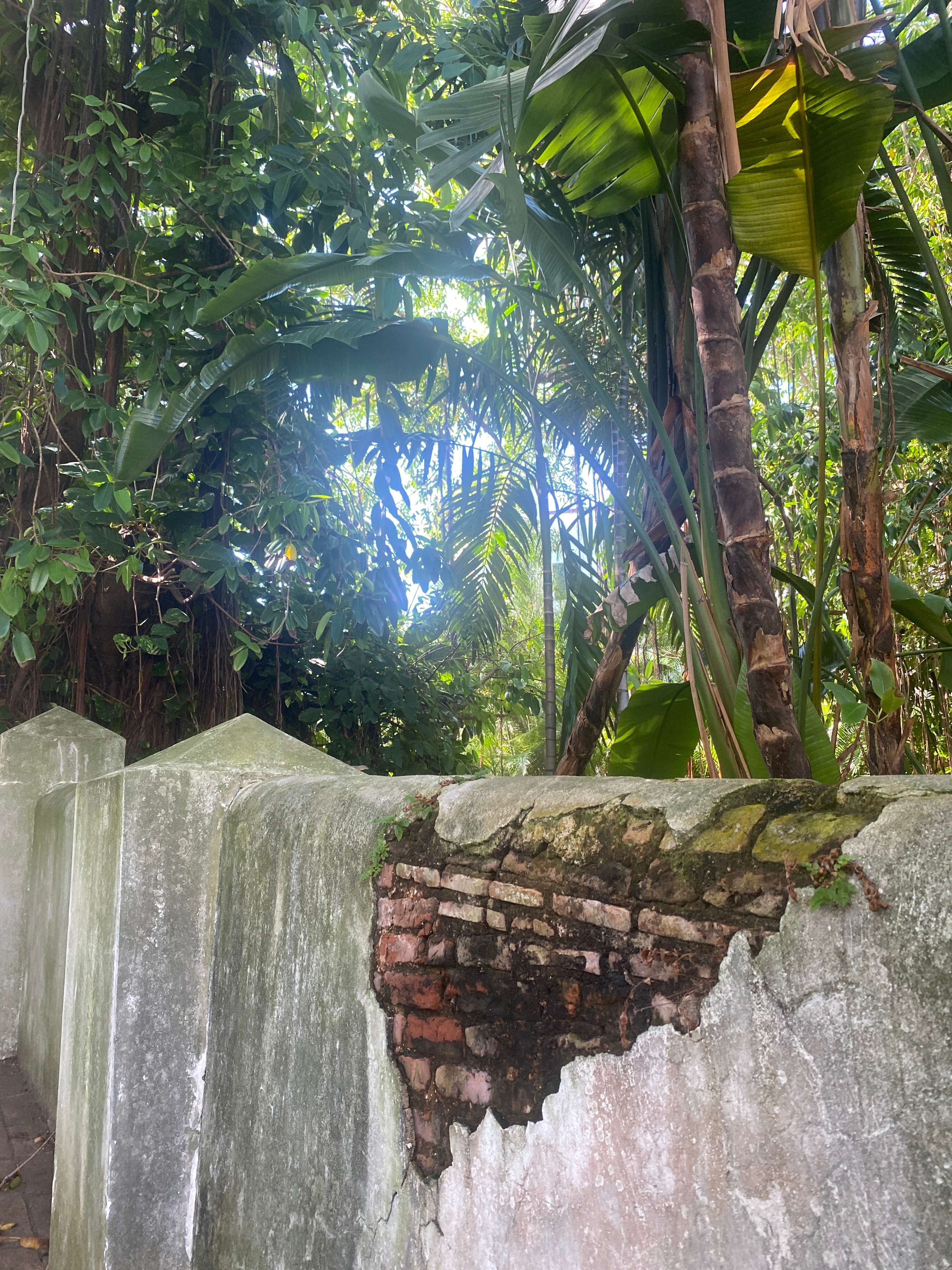 a concrete wall with a tree in the background