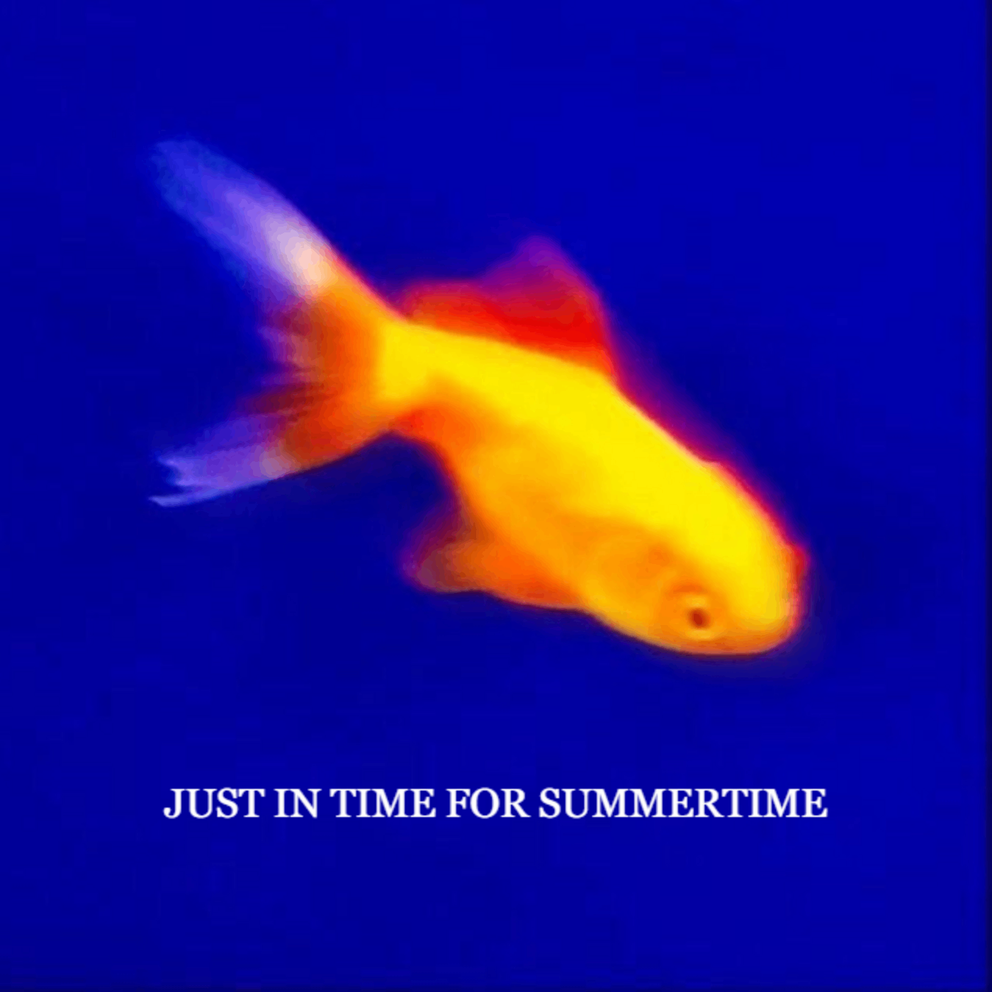 manattic - Just in Time for Summertime: just in time for summertime