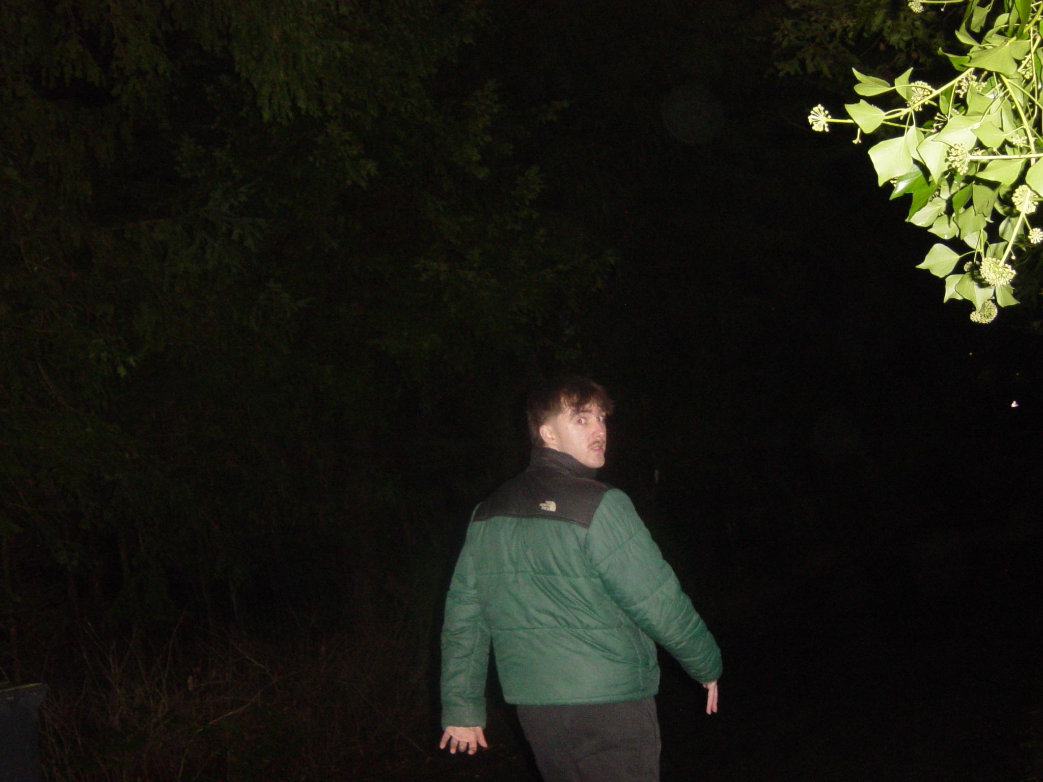 a man is walking down a path at night