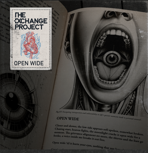 the change project - open wide