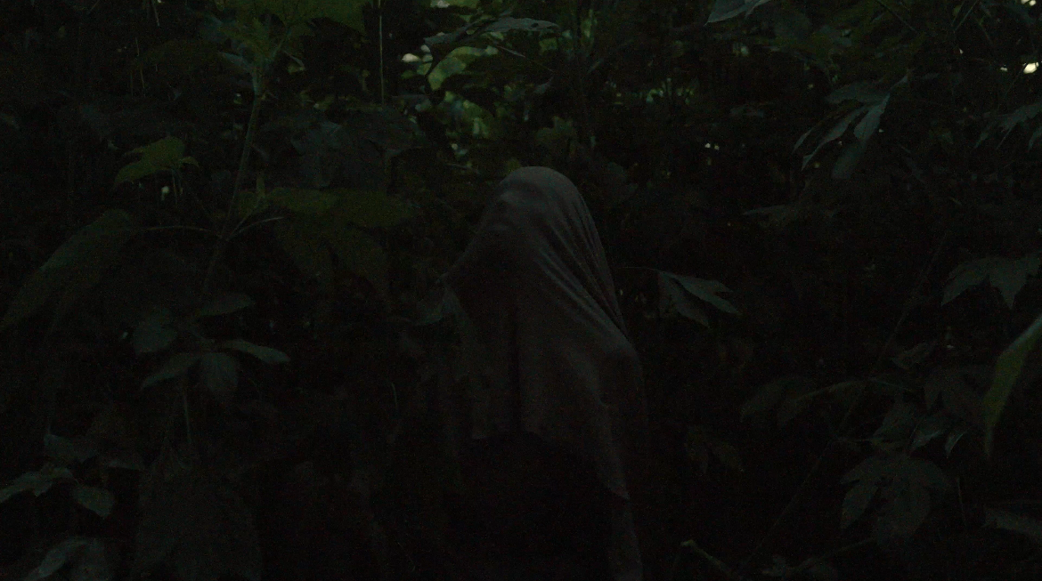 a person is standing in the middle of a forest