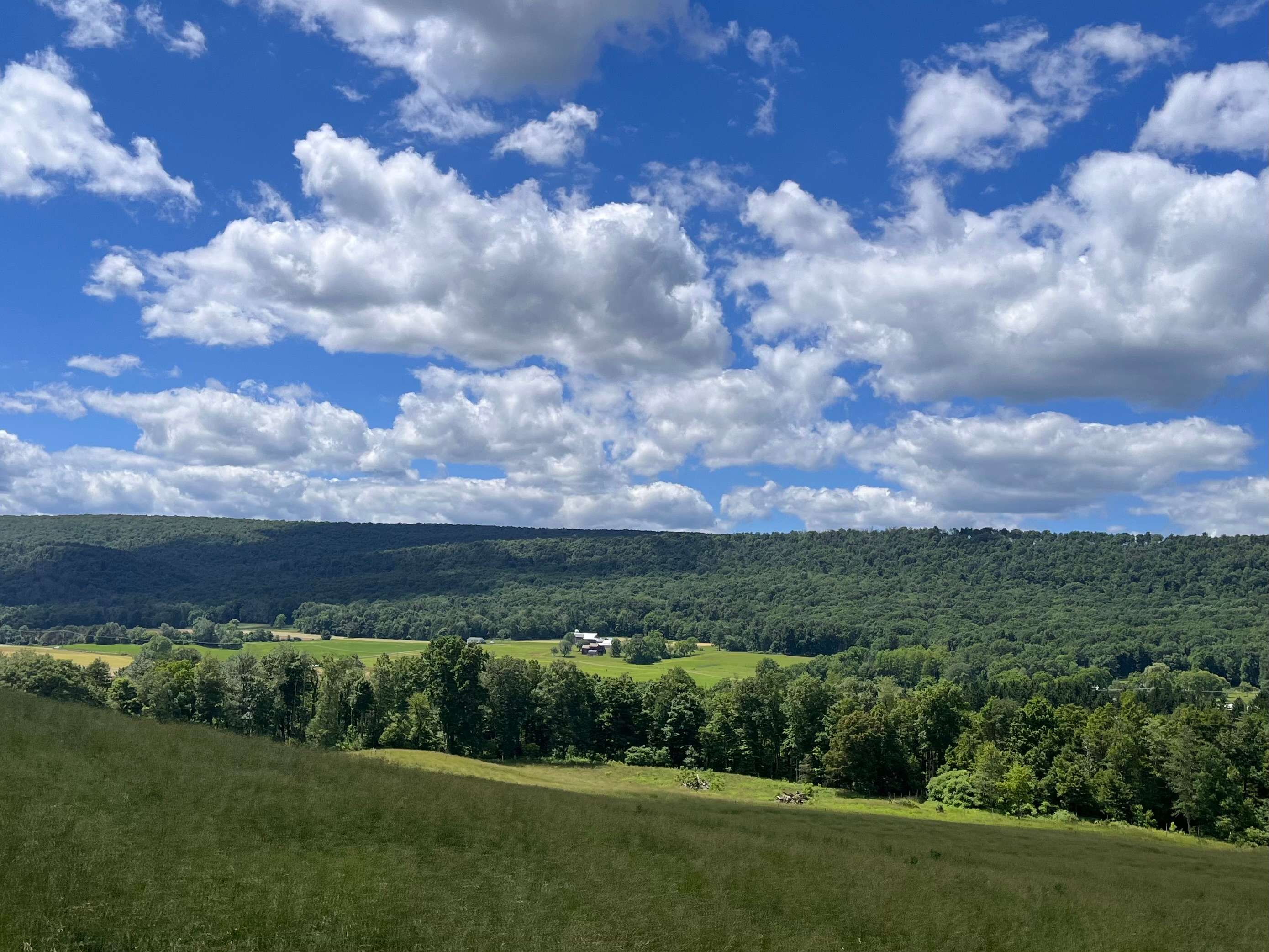 a view of a green field with clouds in the sky