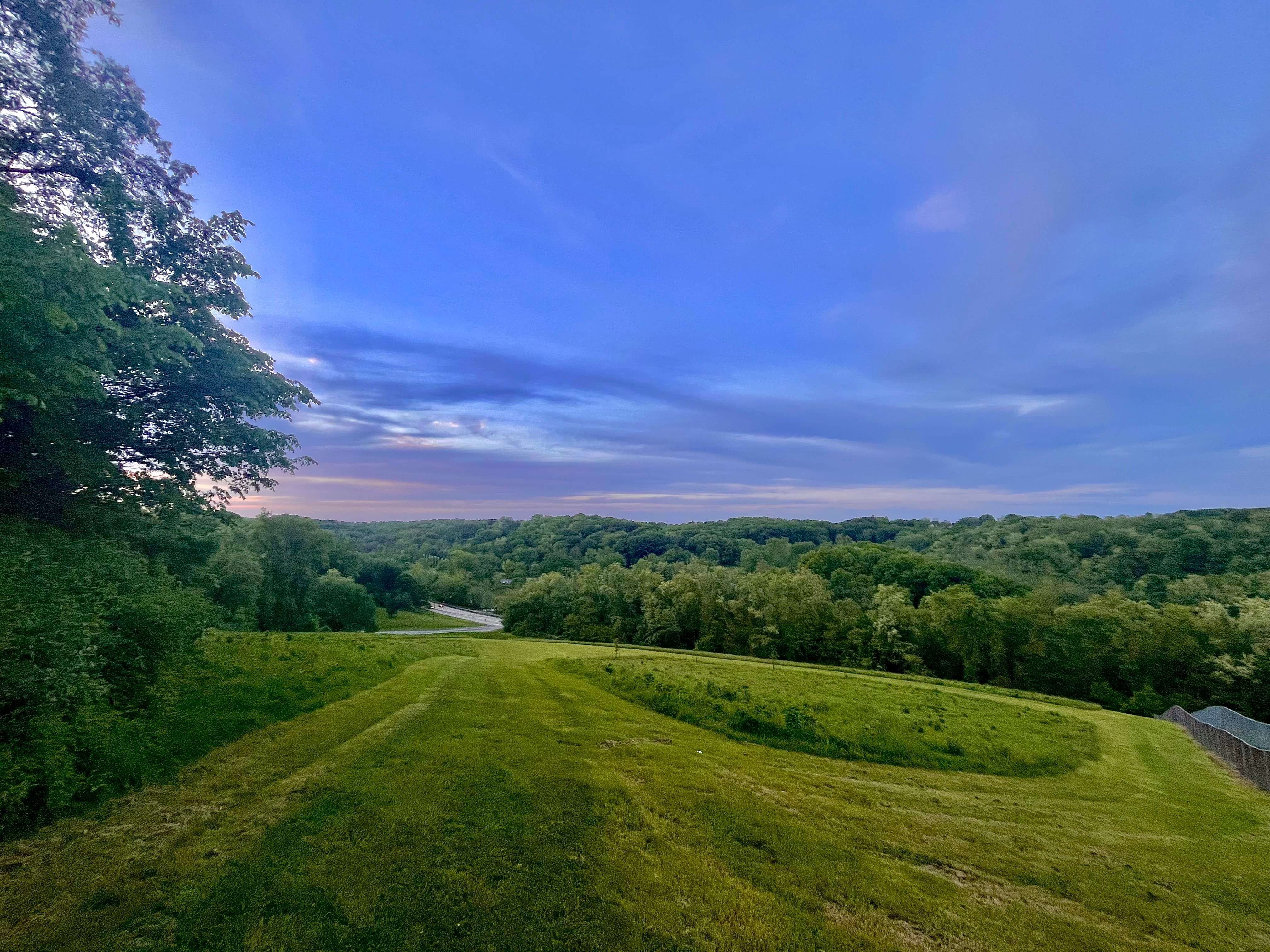 an aerial view of a grassy field at dusk