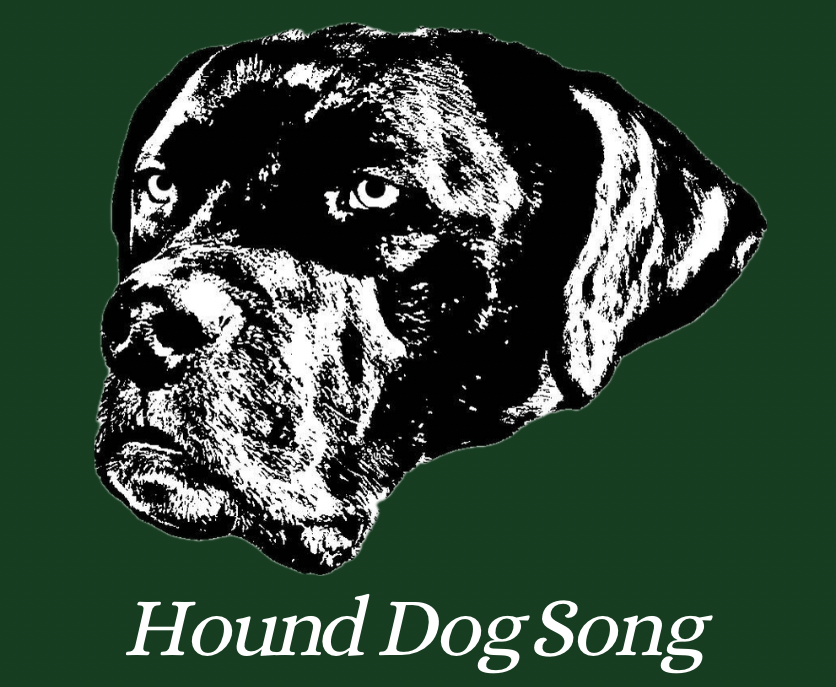 a black and white dog with the words hound dog song