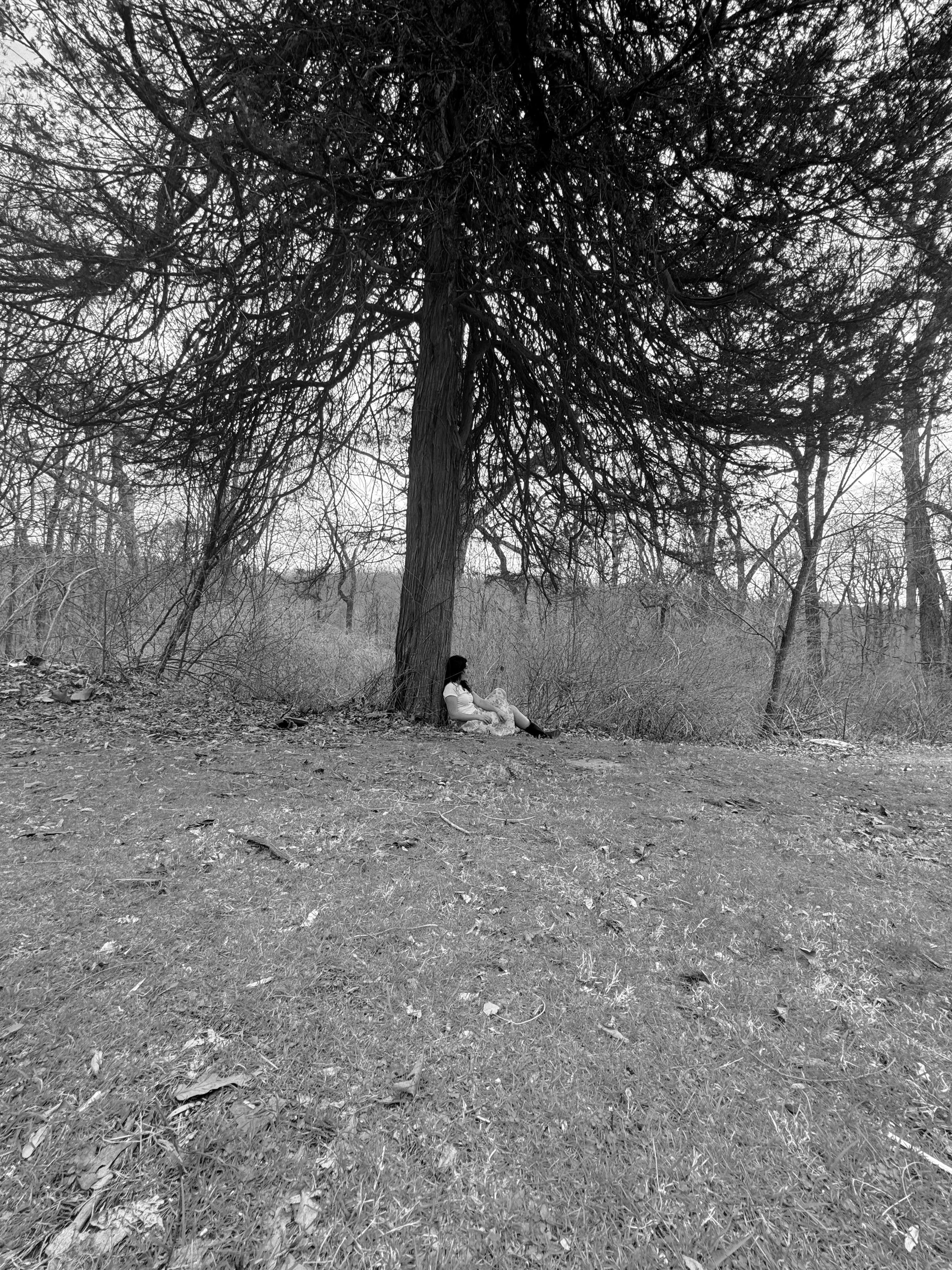 black and white photograph of a person sitting under a tree