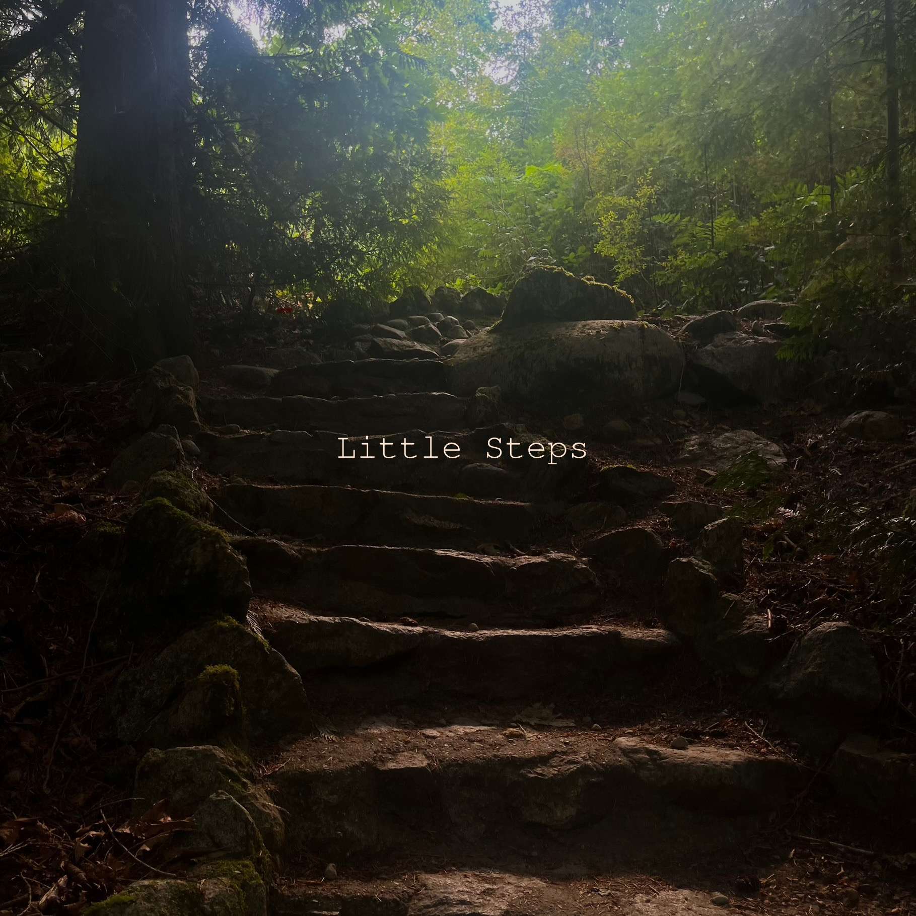 Melody Pearson-Munroe - Little Steps: the words little steps are written on a stone path in the woods