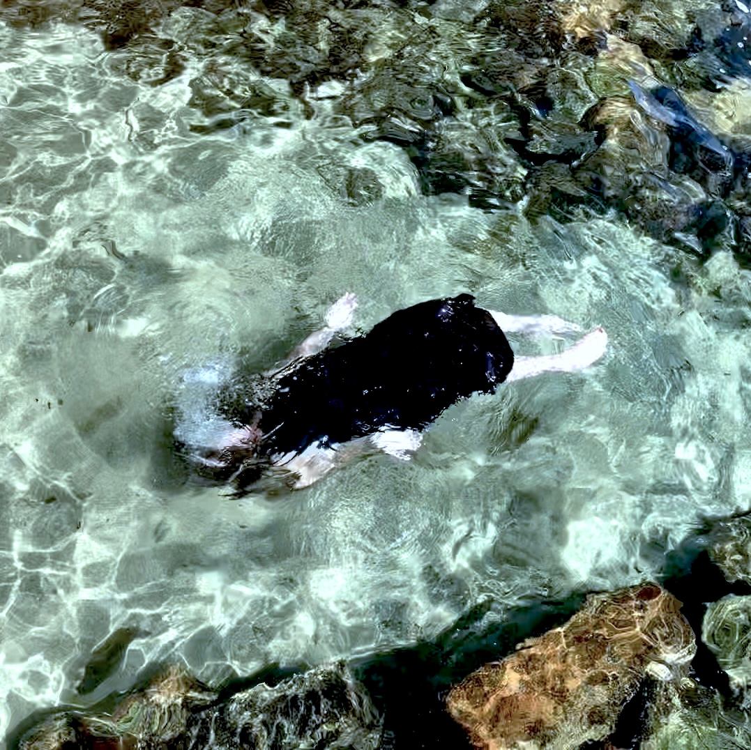 a person swimming in clear water near rocks