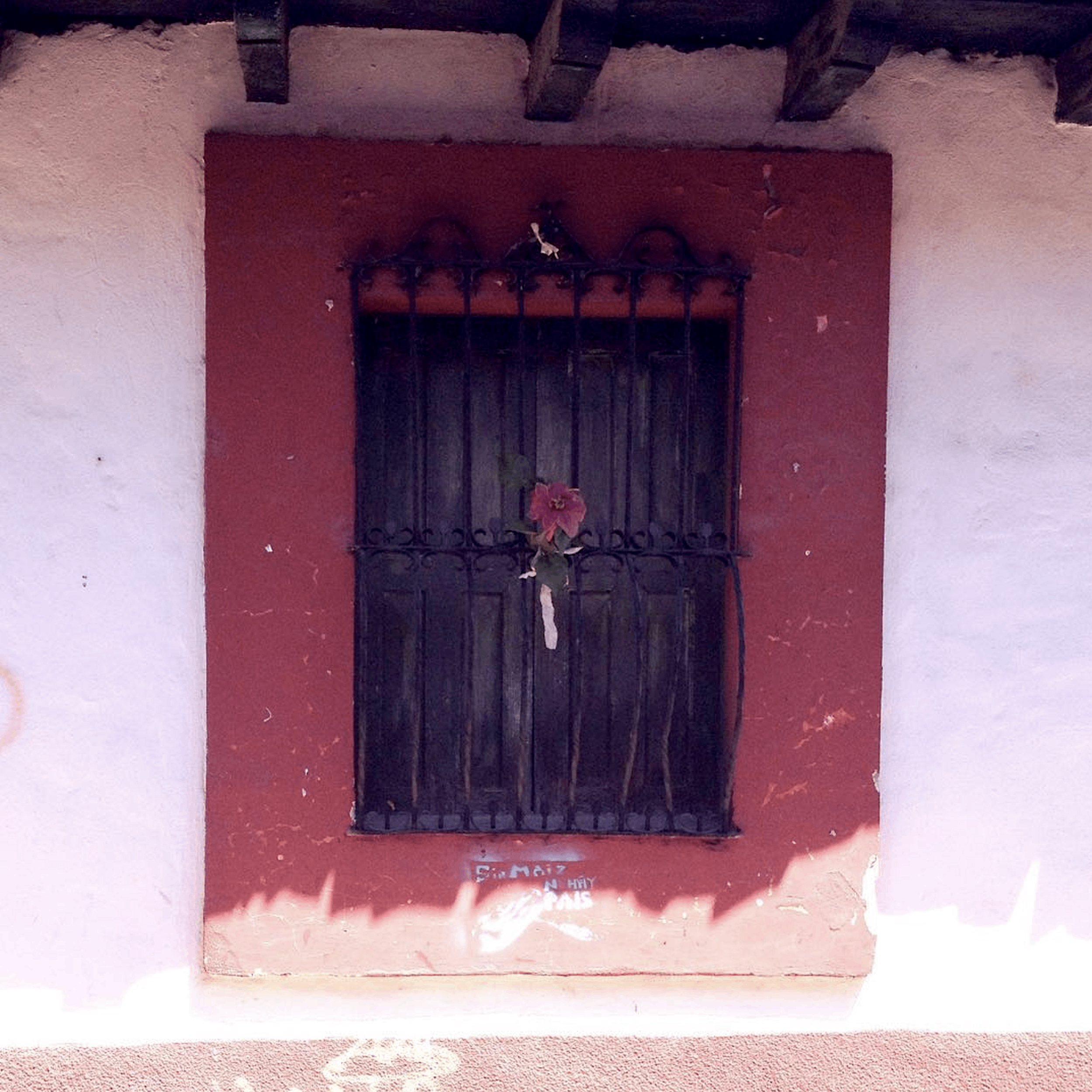 Maquina Anonima - Las Calles Ciegas: a window with a rose in it