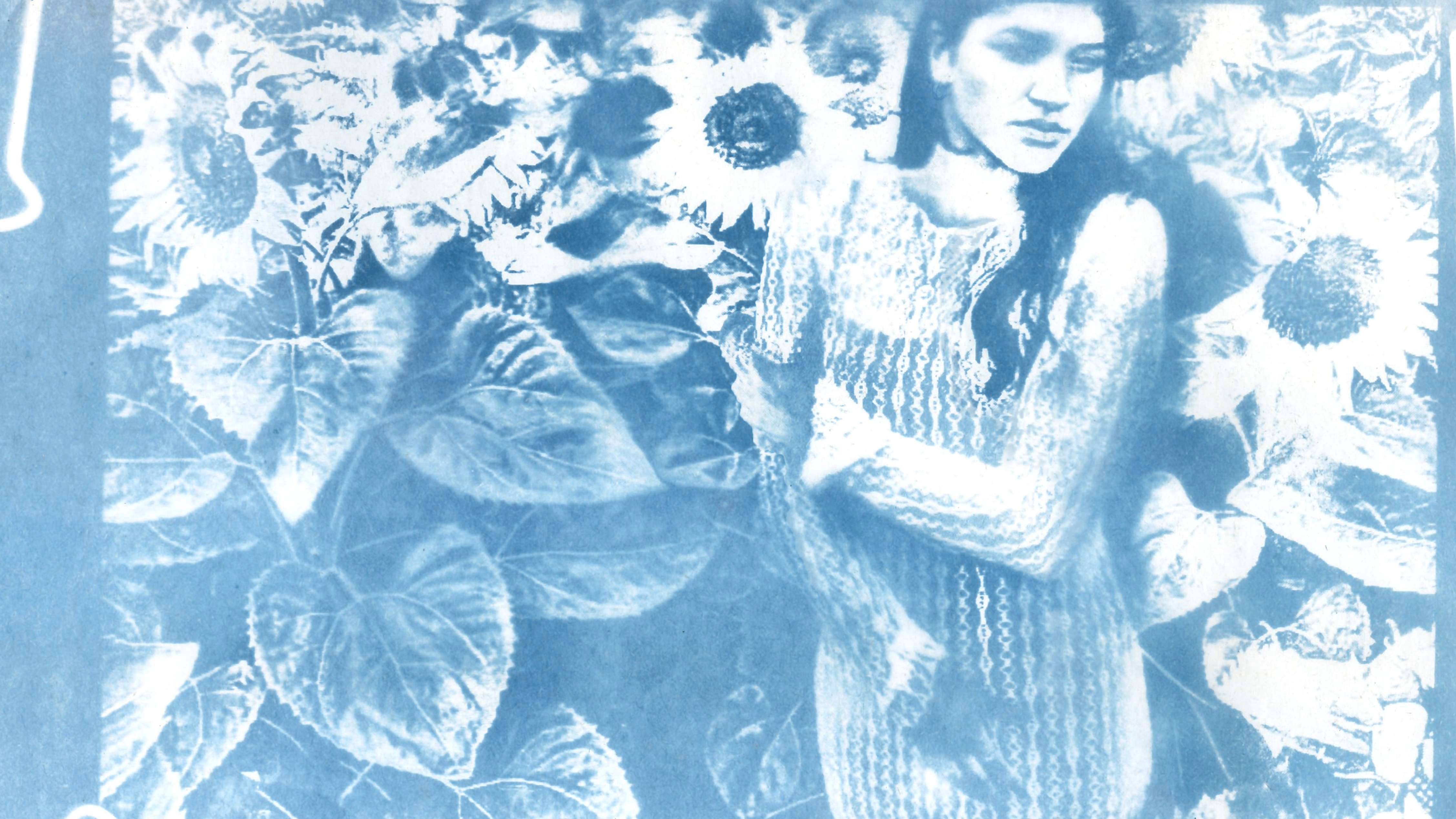 Sora X tip jar: a painting of a woman standing in a field of sunflowers