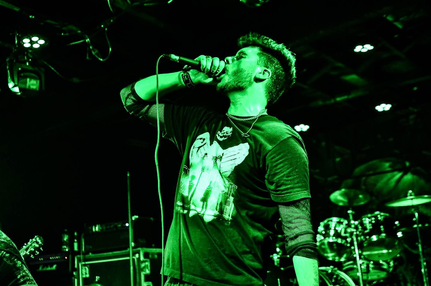 a man singing into a microphone at a concert