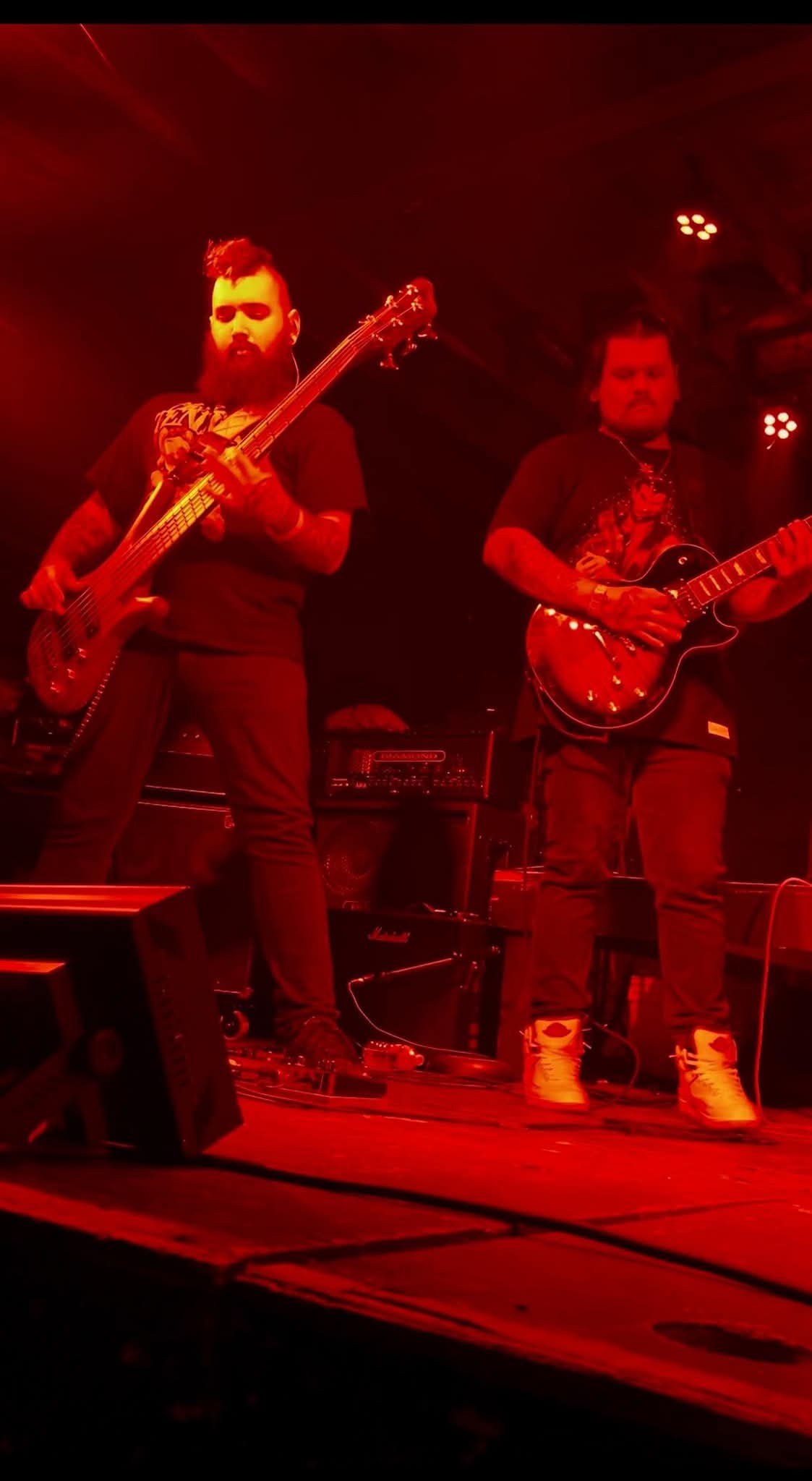 image may contain person, on stage, playing a musical instrument and night