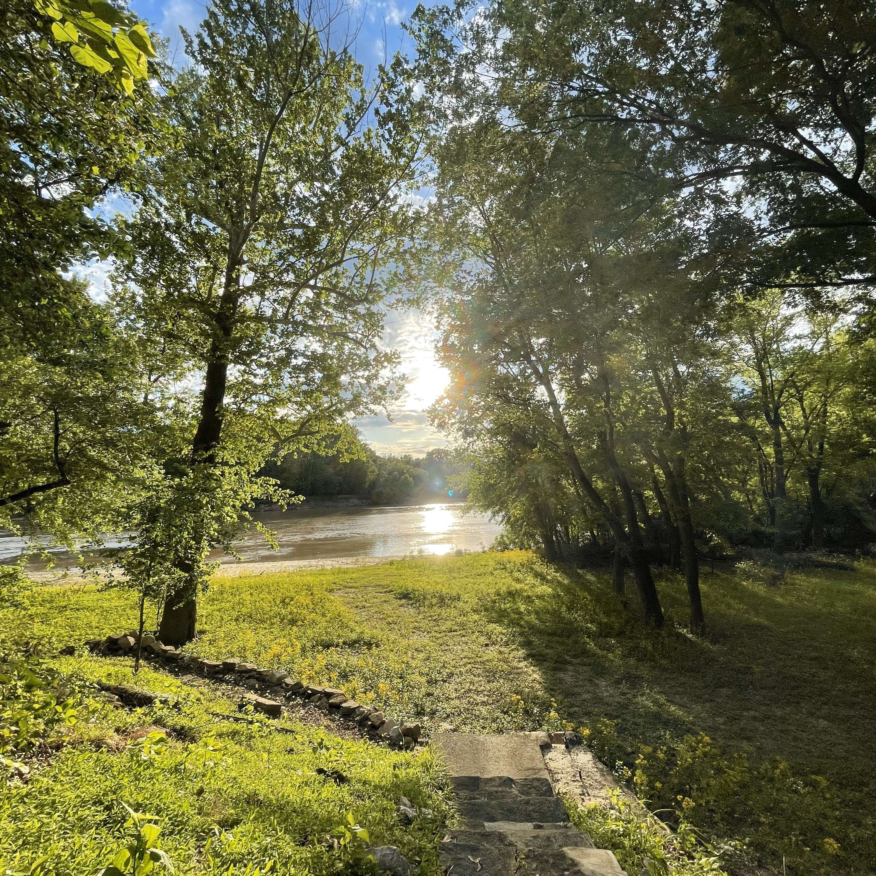 Adam Dyer - Adeline: the sun is shining over a river in a wooded area