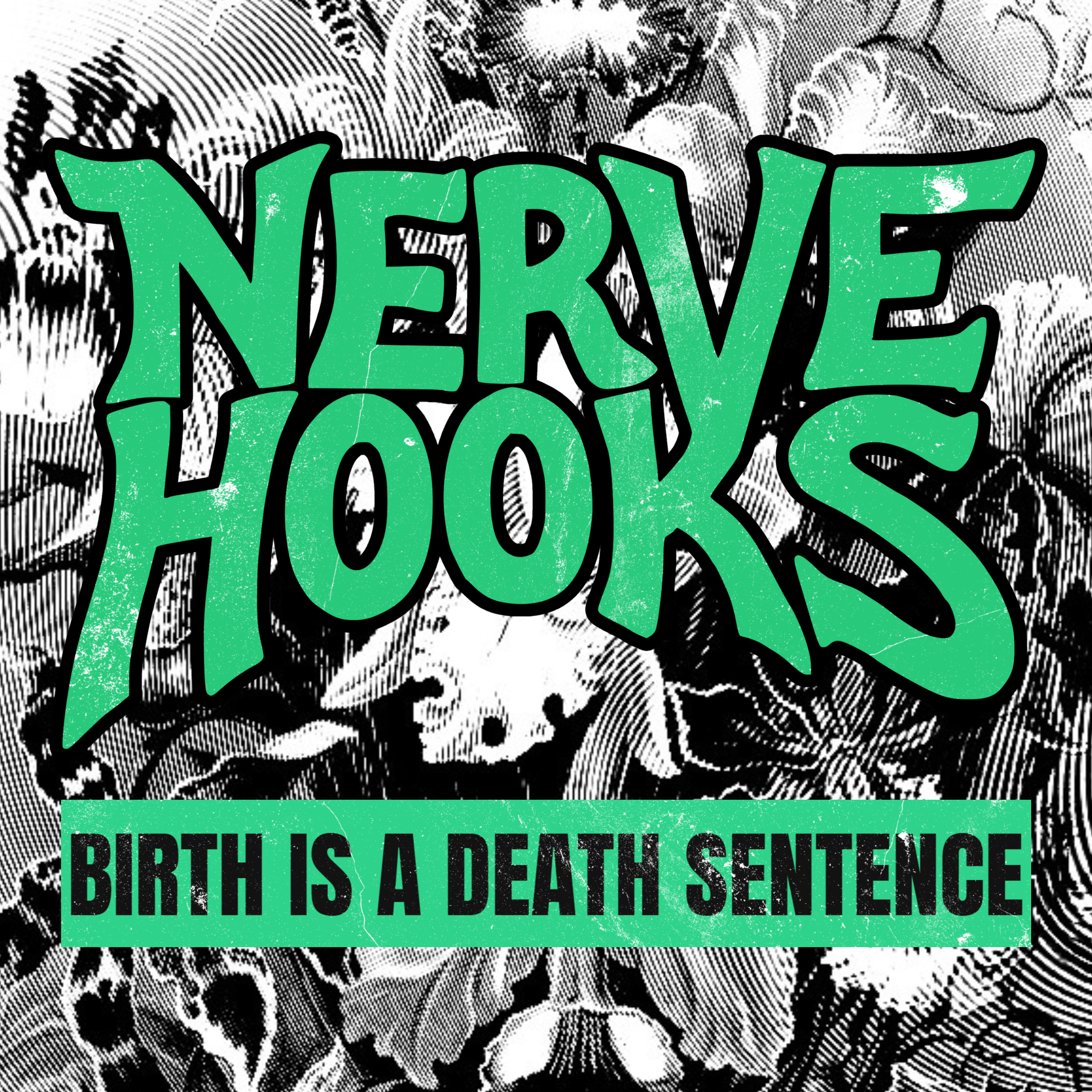 Nerve Hooks - birth is a death sentence: nerve hooks birth is a death sentence