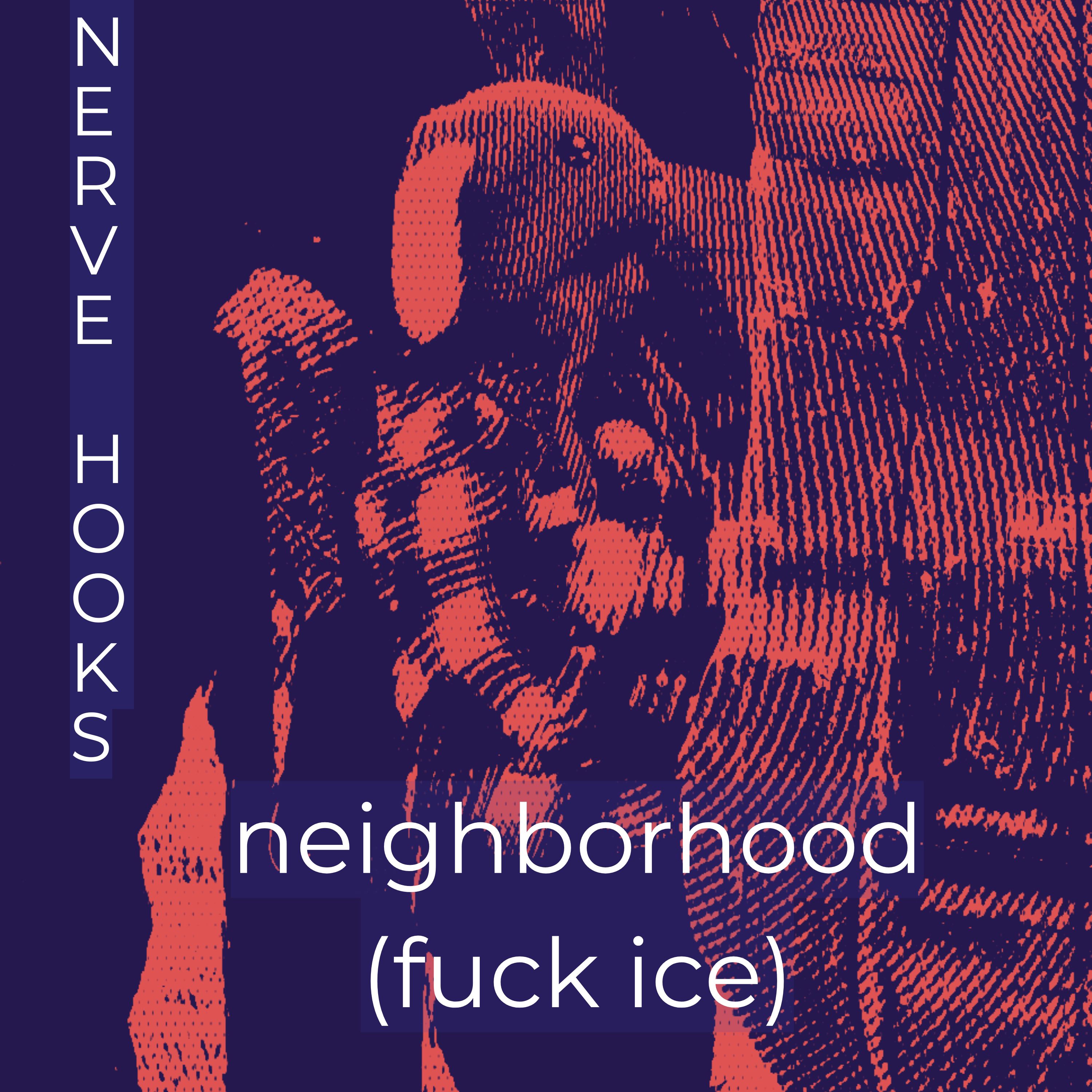 Nerve Hooks - neighborhood (fuck ice): the cover of neighborhood fuck ice by nerve hooks