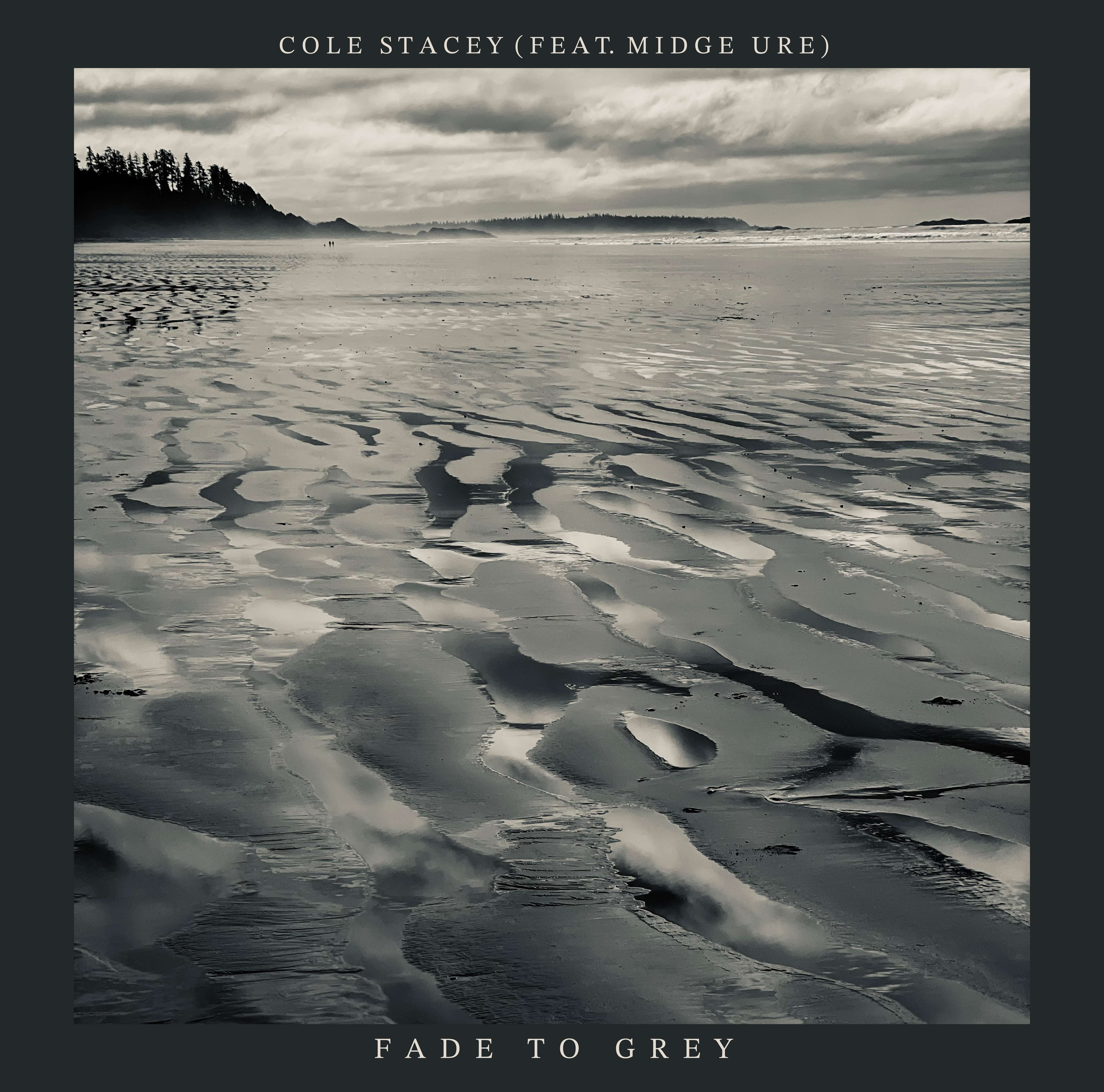 a black and white photo of a beach with the words fade to grey