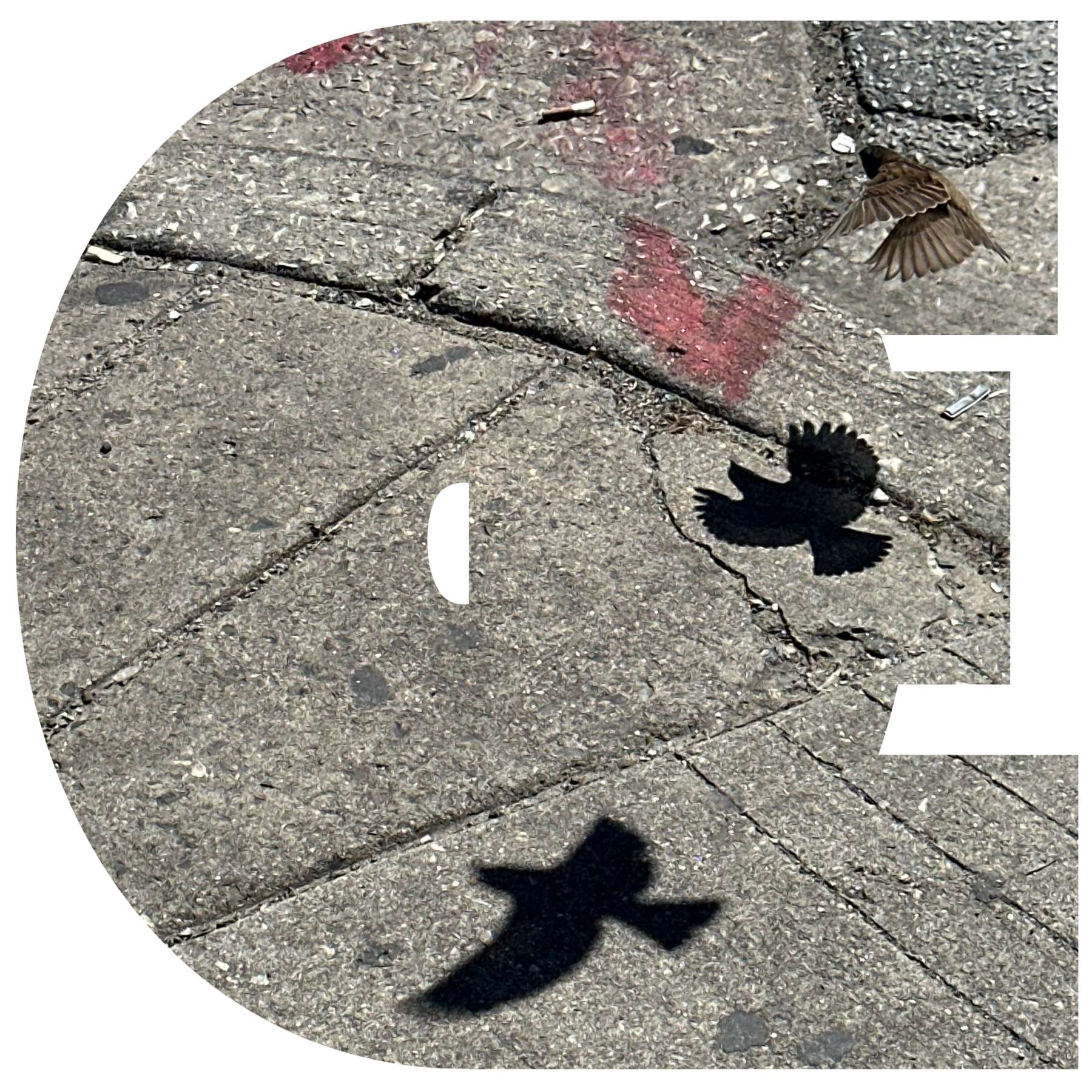 Opal Eskar "Reflection, Fade" single 2/2026 - : the letter e is painted on the sidewalk