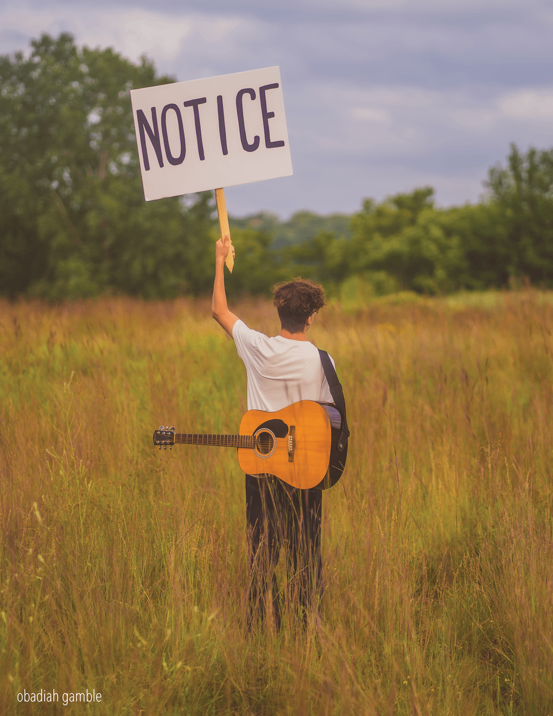 a person holding a guitar in a field