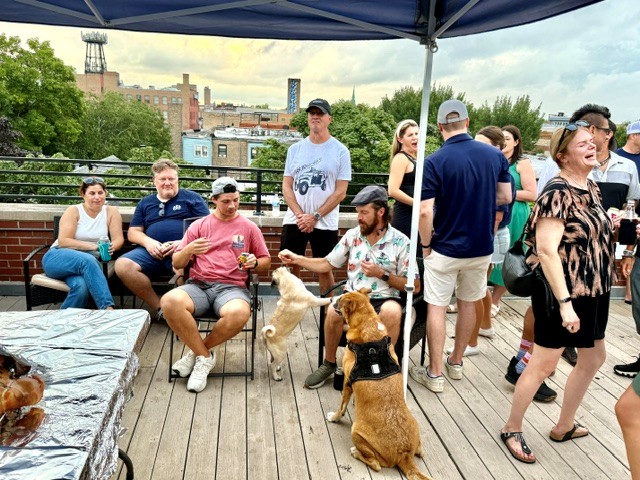 a group of people sitting on a deck with dogs